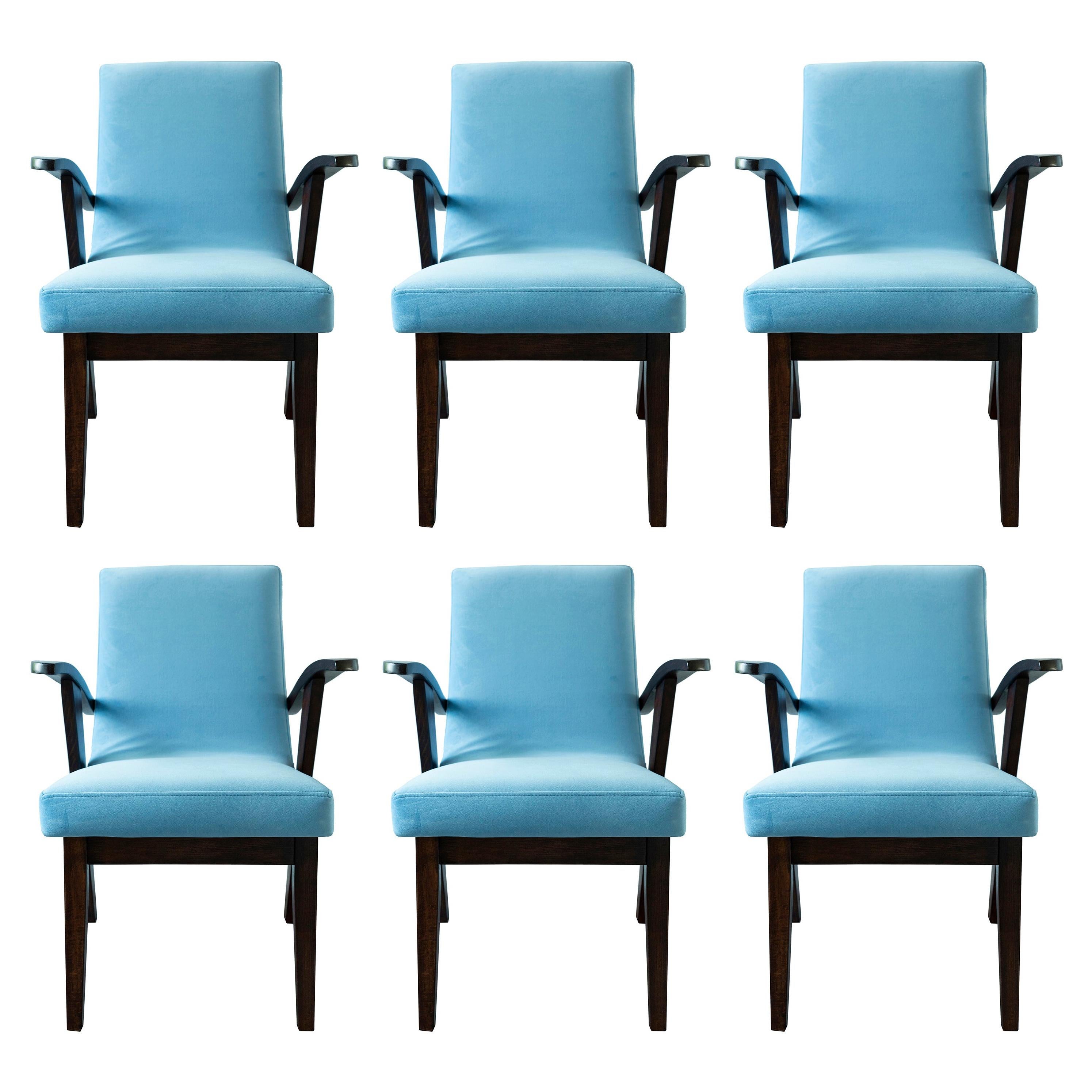 Set of Six 20th Century Armchairs in Baby Blue Velvet, Mieczyslaw Puchala, 1960s