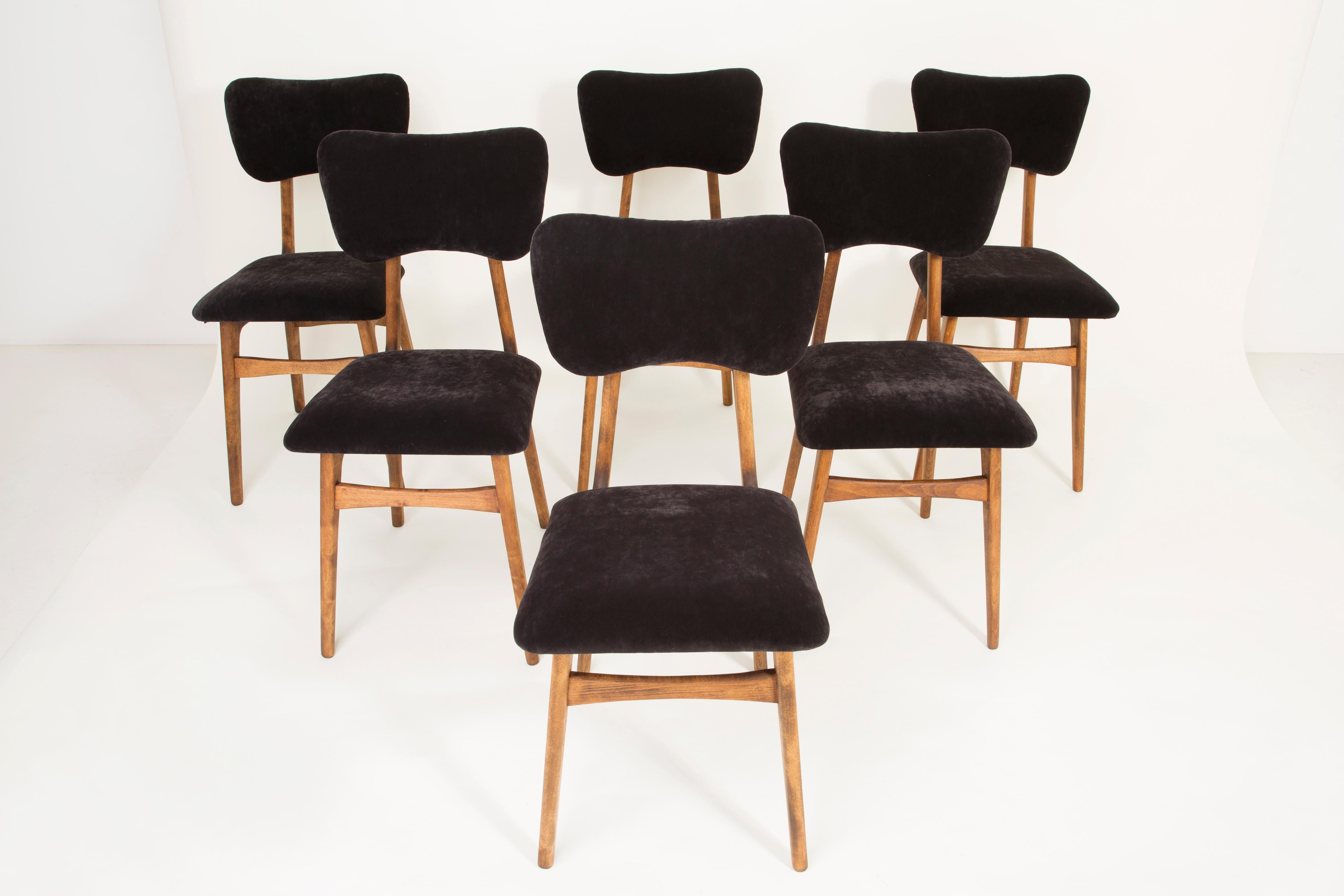 Chairs designed by prof. Rajmund Halas. Made of beechwood. Chair is after a complete upholstery renovation, the woodwork has been refreshed. Seat and back is dressed in black, durable and pleasant to the touch velvet fabric. Chair is stable and very