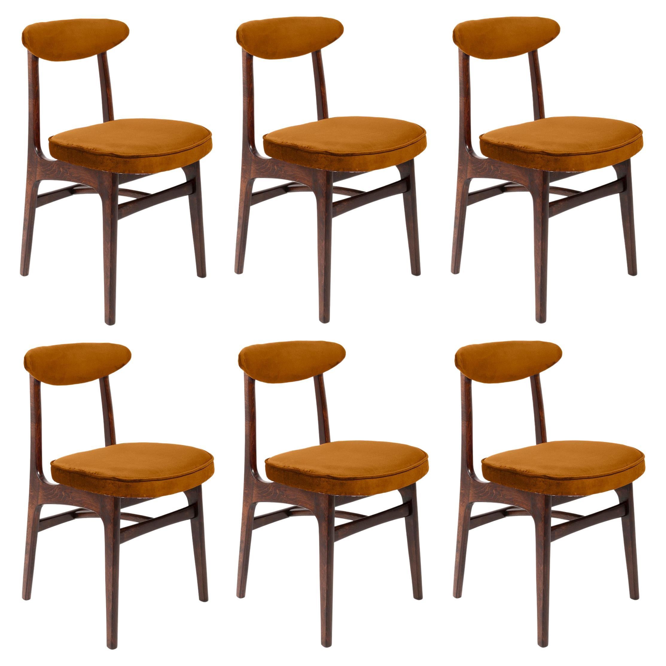 Set von sechs Rajmund Halas-Stühlen aus Kupfersamt des 20. Jahrhunderts, Europa, 1960er Jahre
