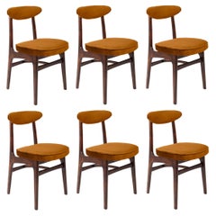 Set of Six 20th Century Copper Velvet Rajmund Halas Chairs, Europe, 1960s