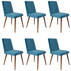 Vintage Set of Six 20th Century Petrol Blue Velvet Chairs, 1960s