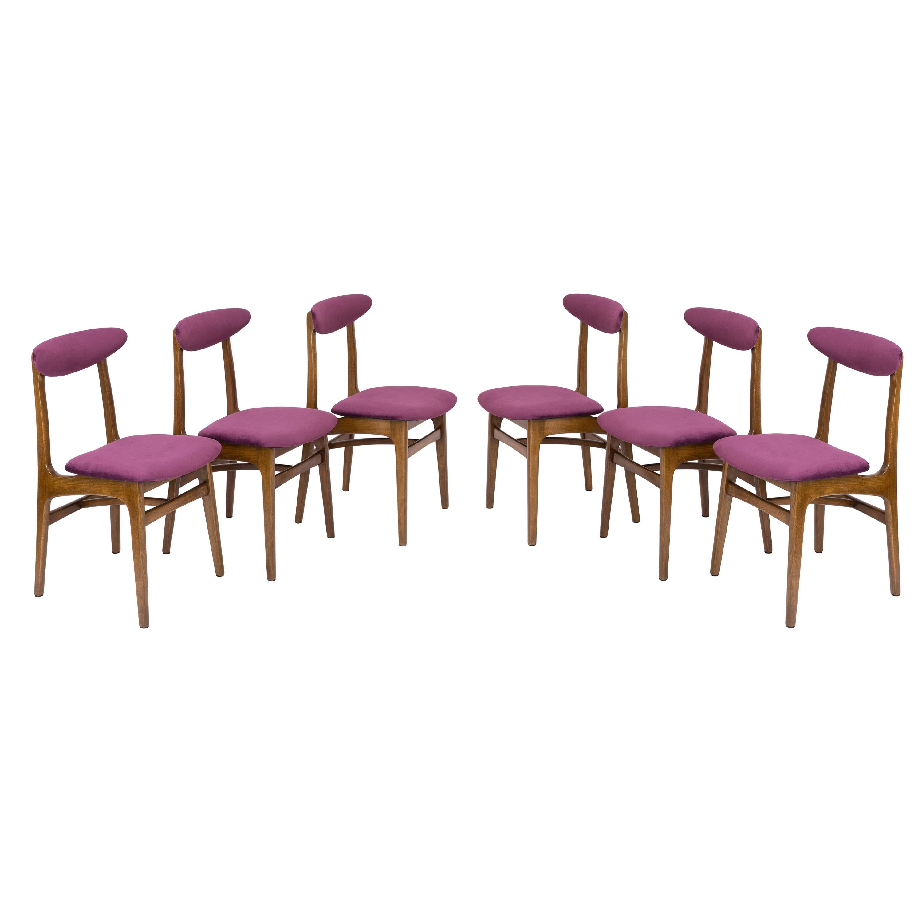 Set of Six 20th Century Plum Velvet Rajmund Halas Chairs, Europe, 1960s For Sale