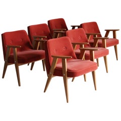 Set aus sechs Sesseln 366, Jozef Chierowski, 1960er Jahre