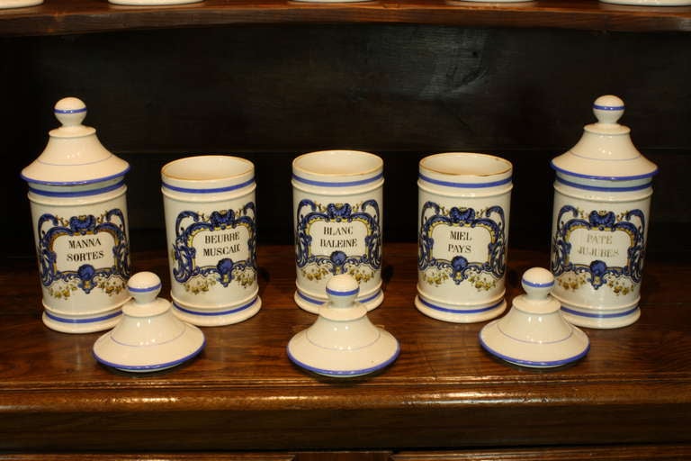 Set of Six '6' French Porcelain Apothecary Jars with Painted Decoration and Mark For Sale 4