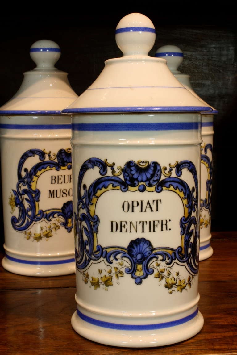 Set of Six '6' French Porcelain Apothecary Jars with Painted Decoration and Mark In Good Condition For Sale In Pembroke, MA