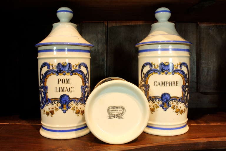 19th Century Set of Six '6' French Porcelain Apothecary Jars with Painted Decoration and Mark For Sale