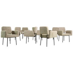 Set of Six '6' (up to 36 pcs.) Dining Room Nathan Lindberg Teddy Fur, Sheepskin