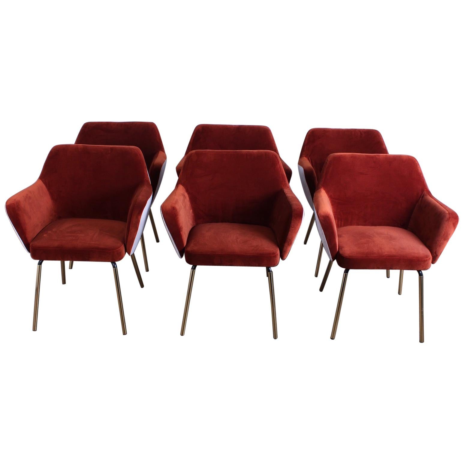 Set of Six "Airone" Armchairs by Alberto Roselli for Arflex