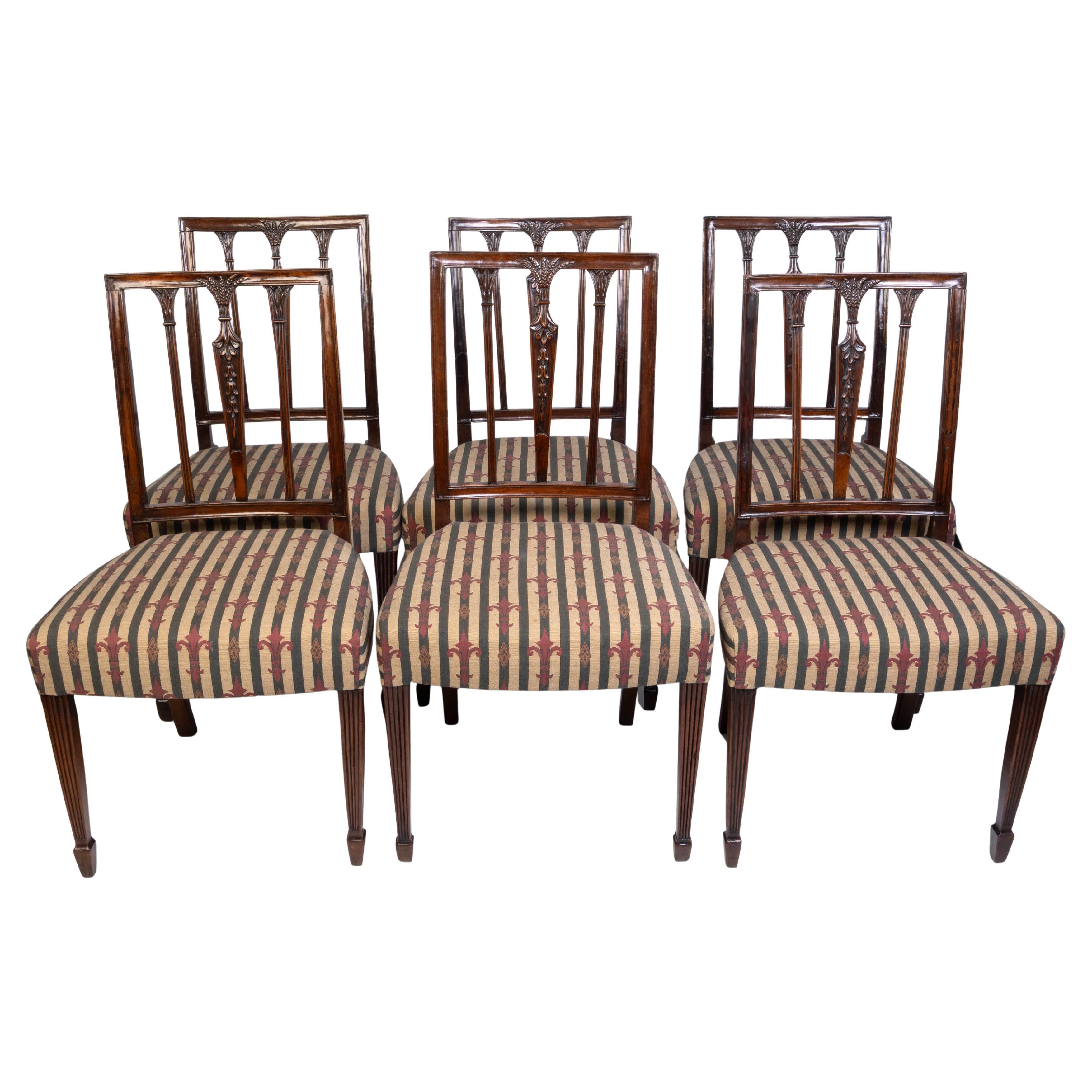 Set Of Six Antique 18th Century English George III Sheraton Dining Chairs C.1790
