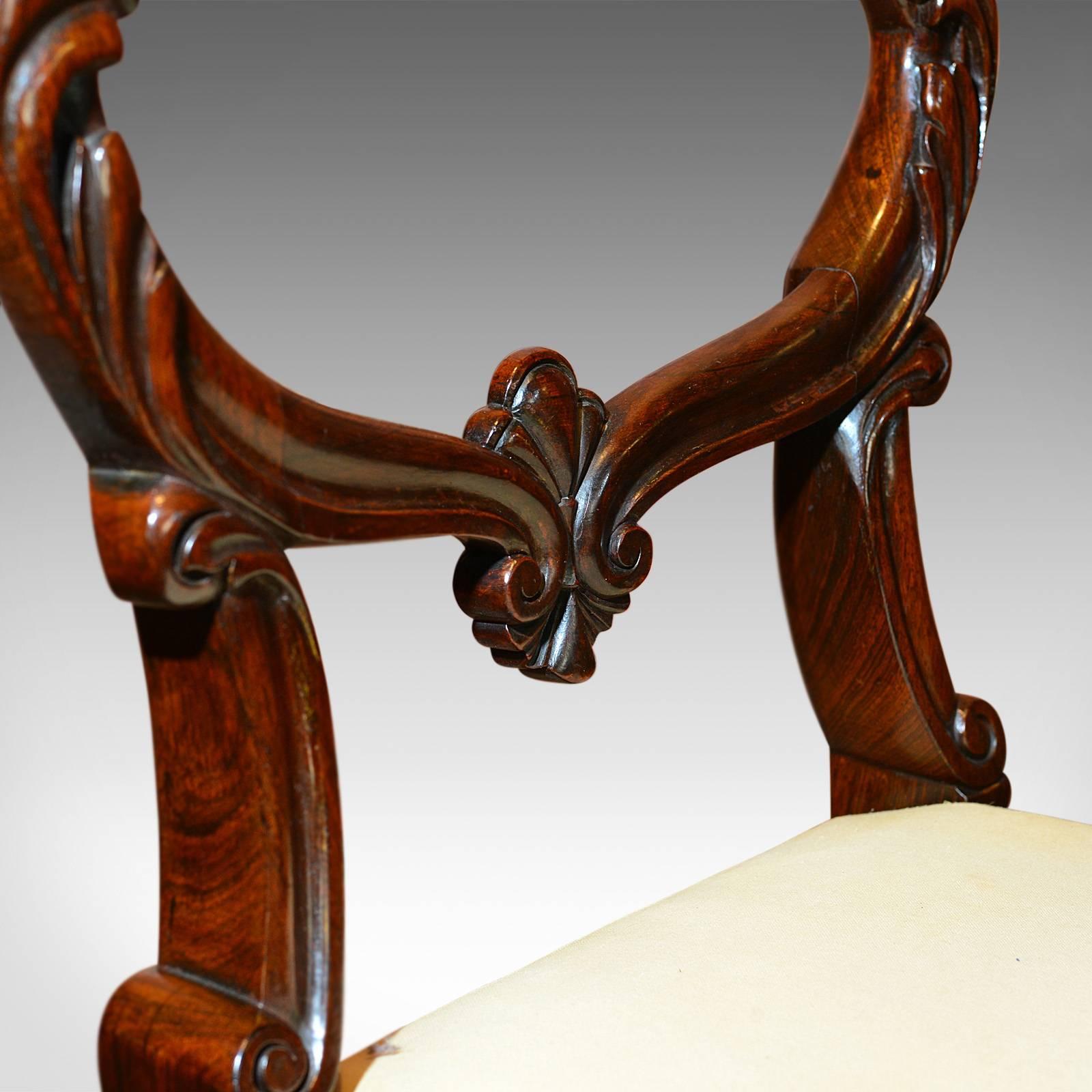 Set of Six Antique Chairs, Rosewood, William IV, circa 1835 3