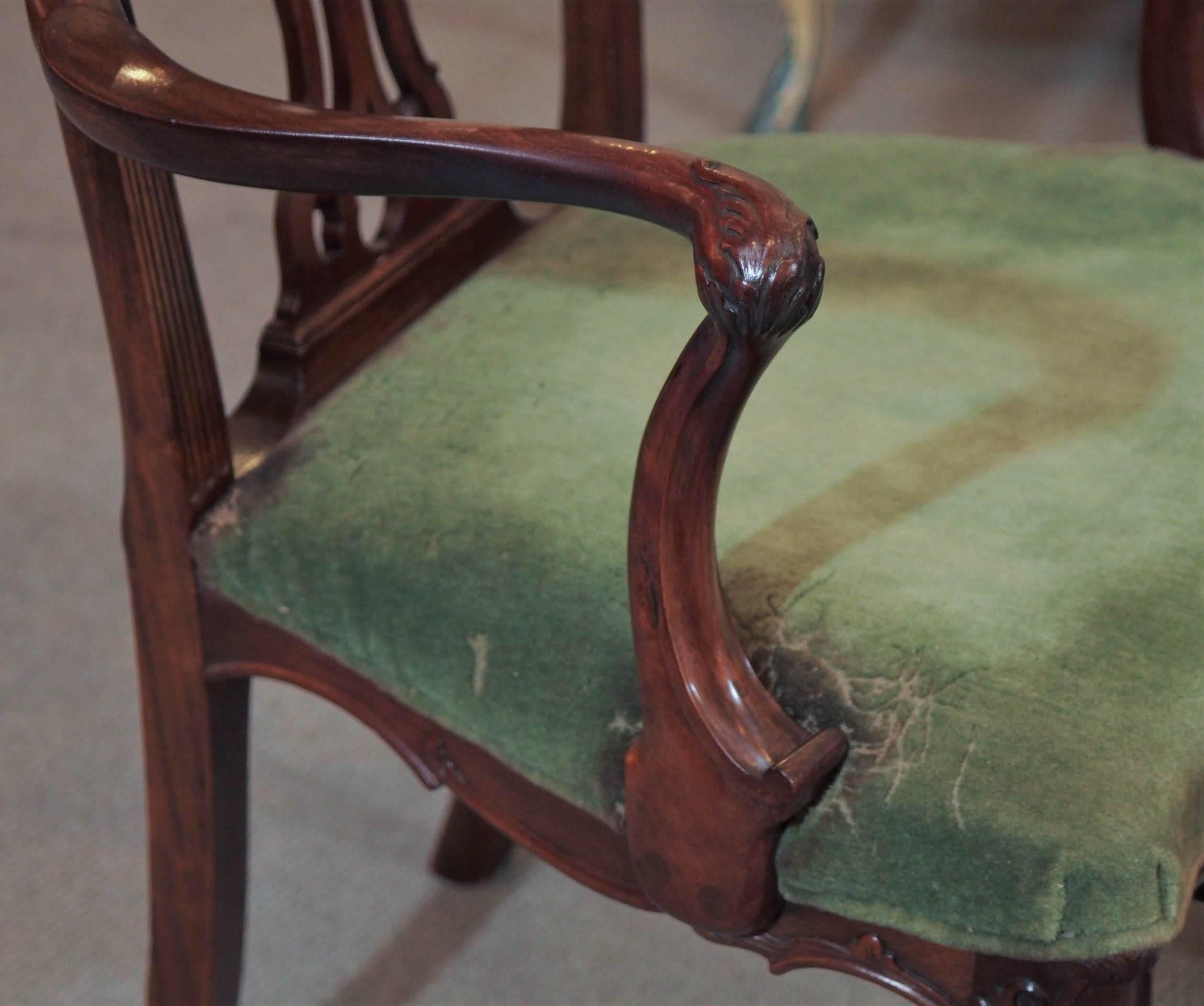 Mahogany Set of Six Antique English Dining Chairs For Sale