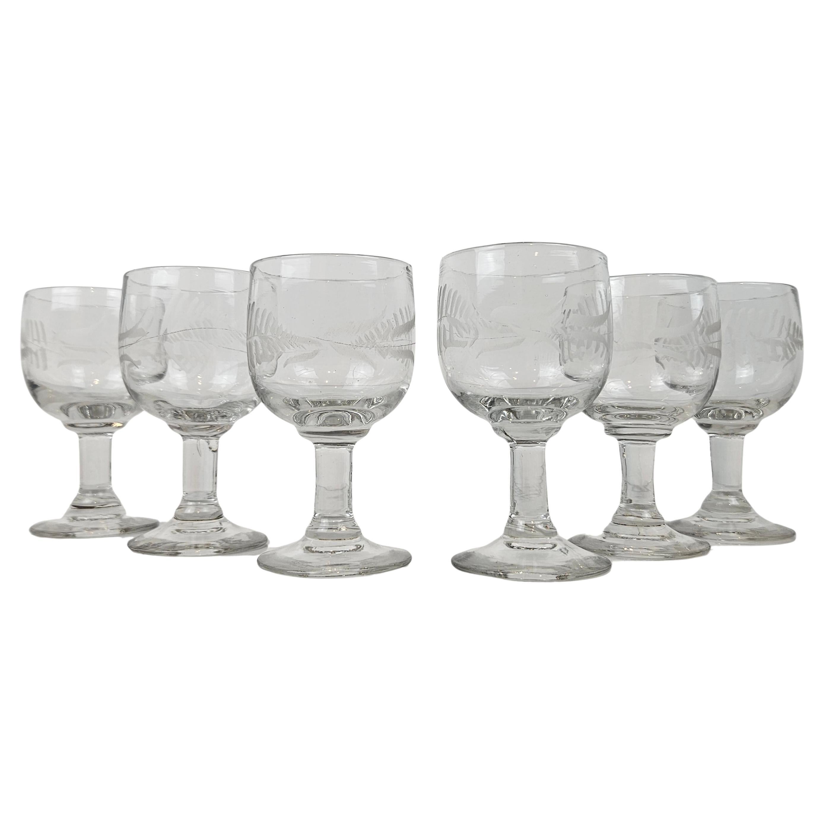 Set of Six Antique Etched Glasses with Floral Motifs, circa 1880 For Sale