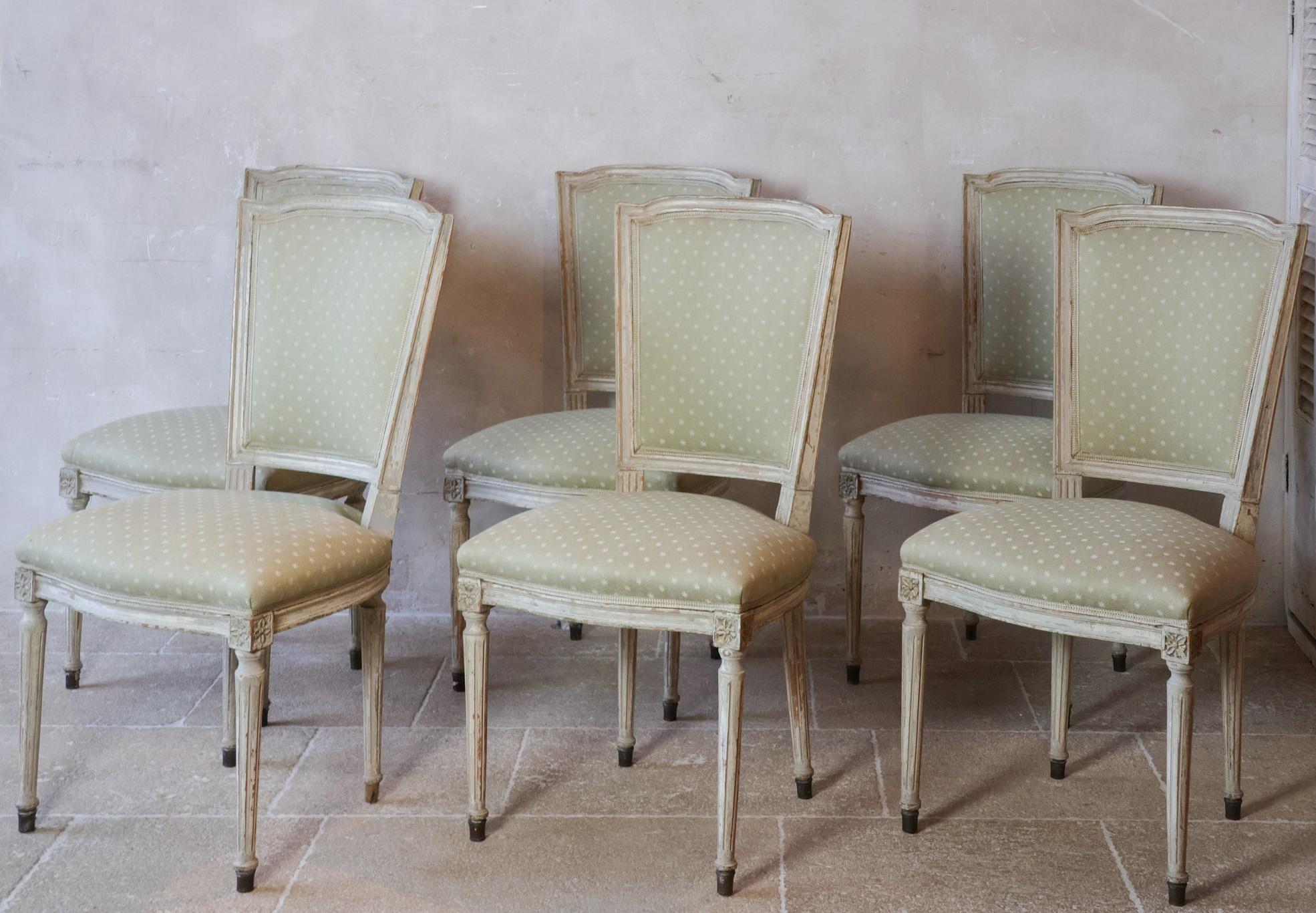 Ensemble de six chaises de salle à manger françaises anciennes de style Louis XVI. Les chaises présentent une belle patine d'usure blanc cassé/crème et ont été récemment retapissées avec un tissu doux teinté de vert.

De petites taches sont visibles