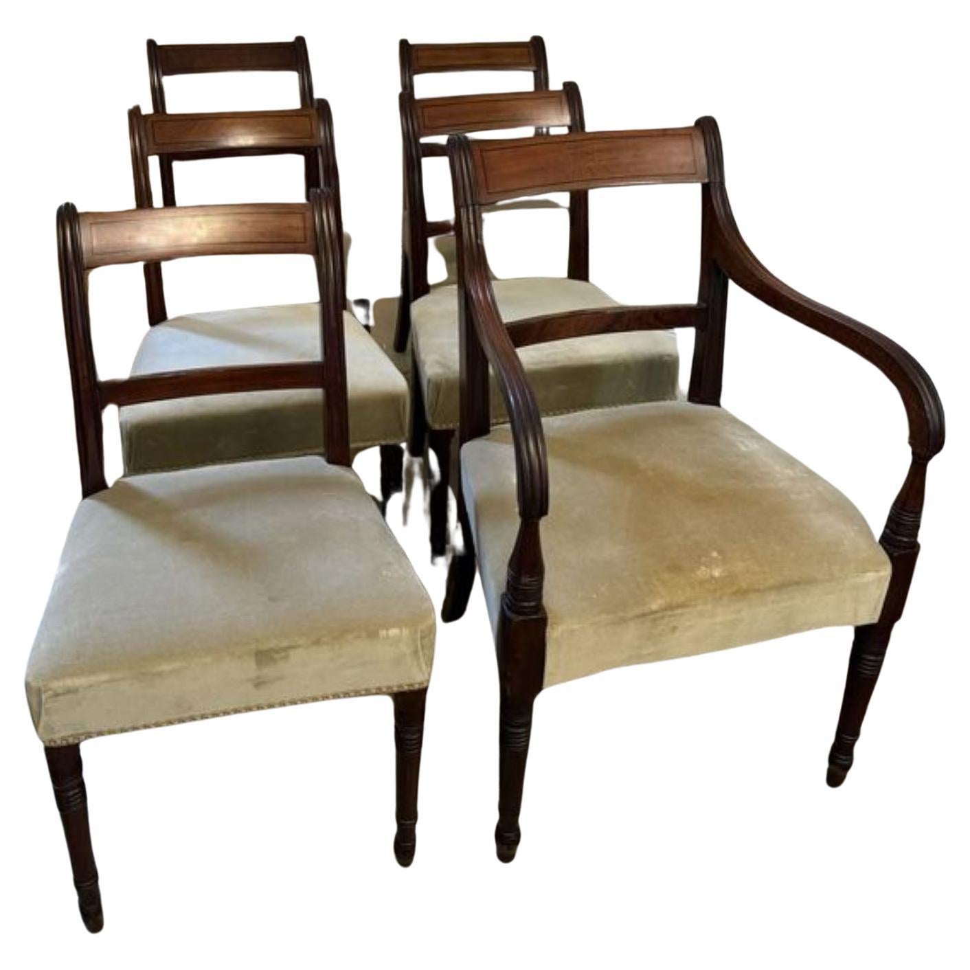 Set of six antique Regency quality mahogany dining chairs 