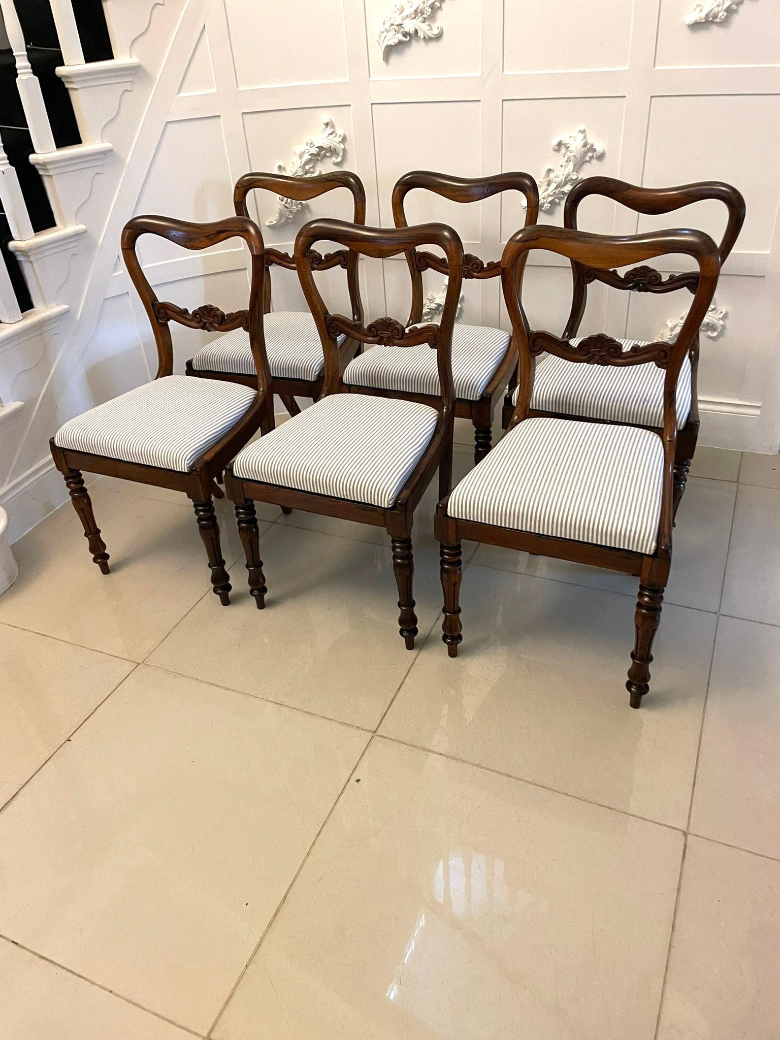 Set of six antique Victorian quality rosewood dining chairs having a quality rosewood shaped top with a carved solid rosewood splat to the back, newly reupholstered drop in seats in a quality fabric standing on shaped turned tulip carved front legs
