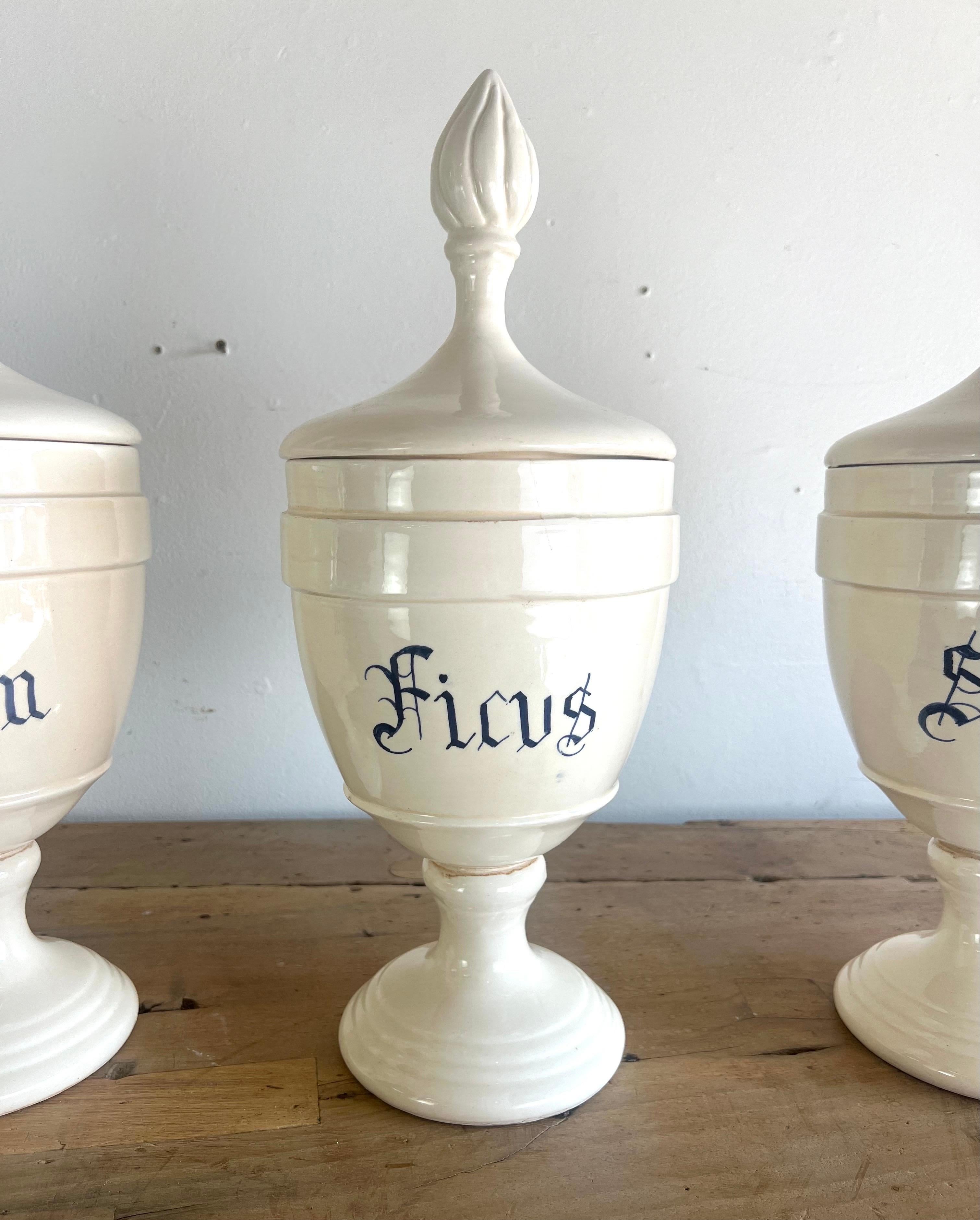 Classical Roman Set of Six Apothecary Jars w/ Lids For Sale