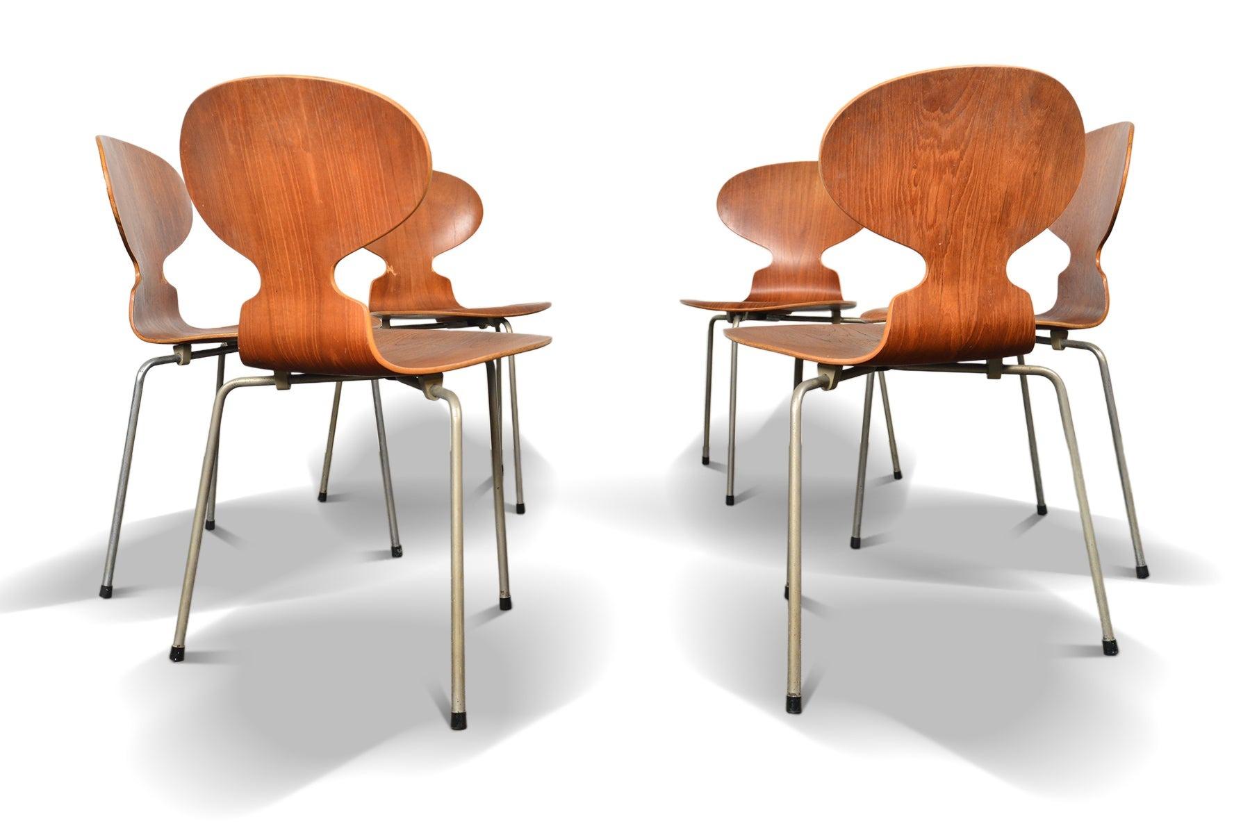 Ensemble de six chaises Ant en teck d'Arne Jacobsen Bon état - En vente à Berkeley, CA
