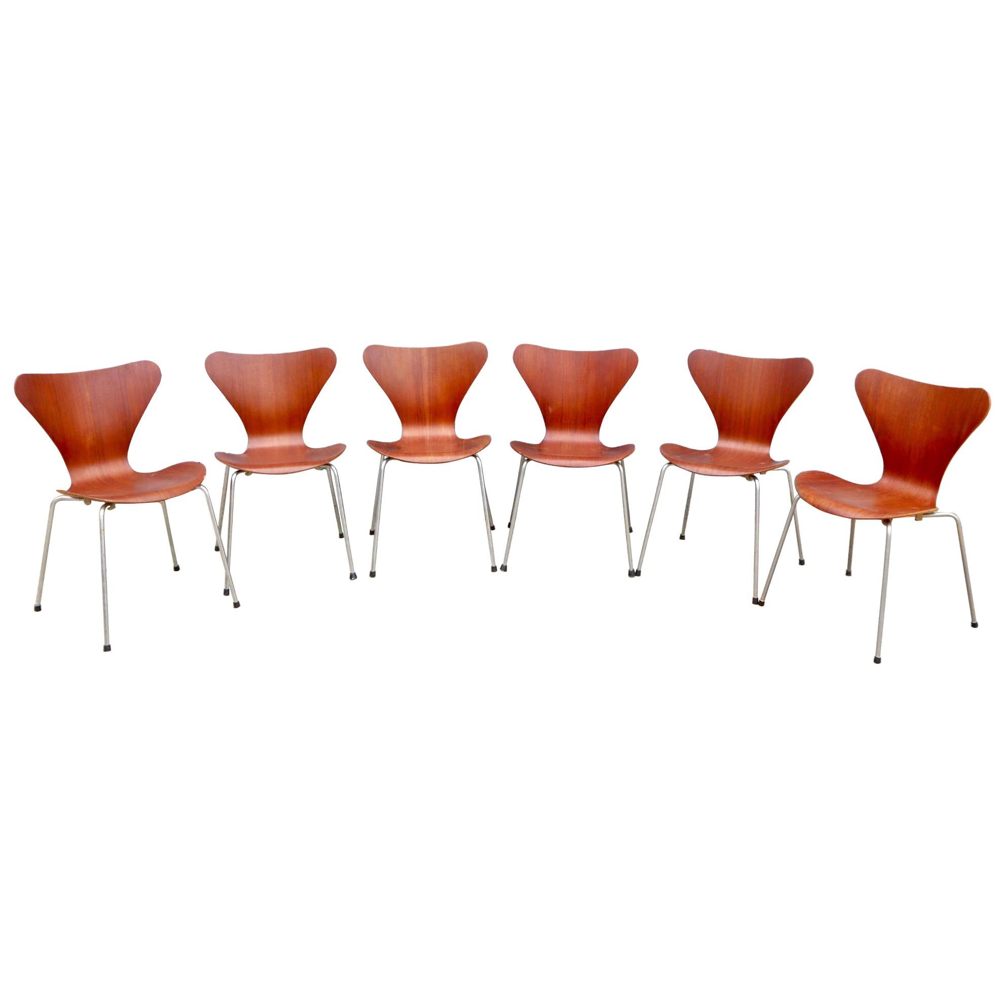 Set of Six Arne Jacobsen Series 7 Chairs in Teak Produced by Fritz Hansen