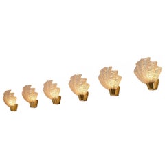 Set of Six ASEA 'Coquille' Shell Shaped Wall Lights in Brass and Glass