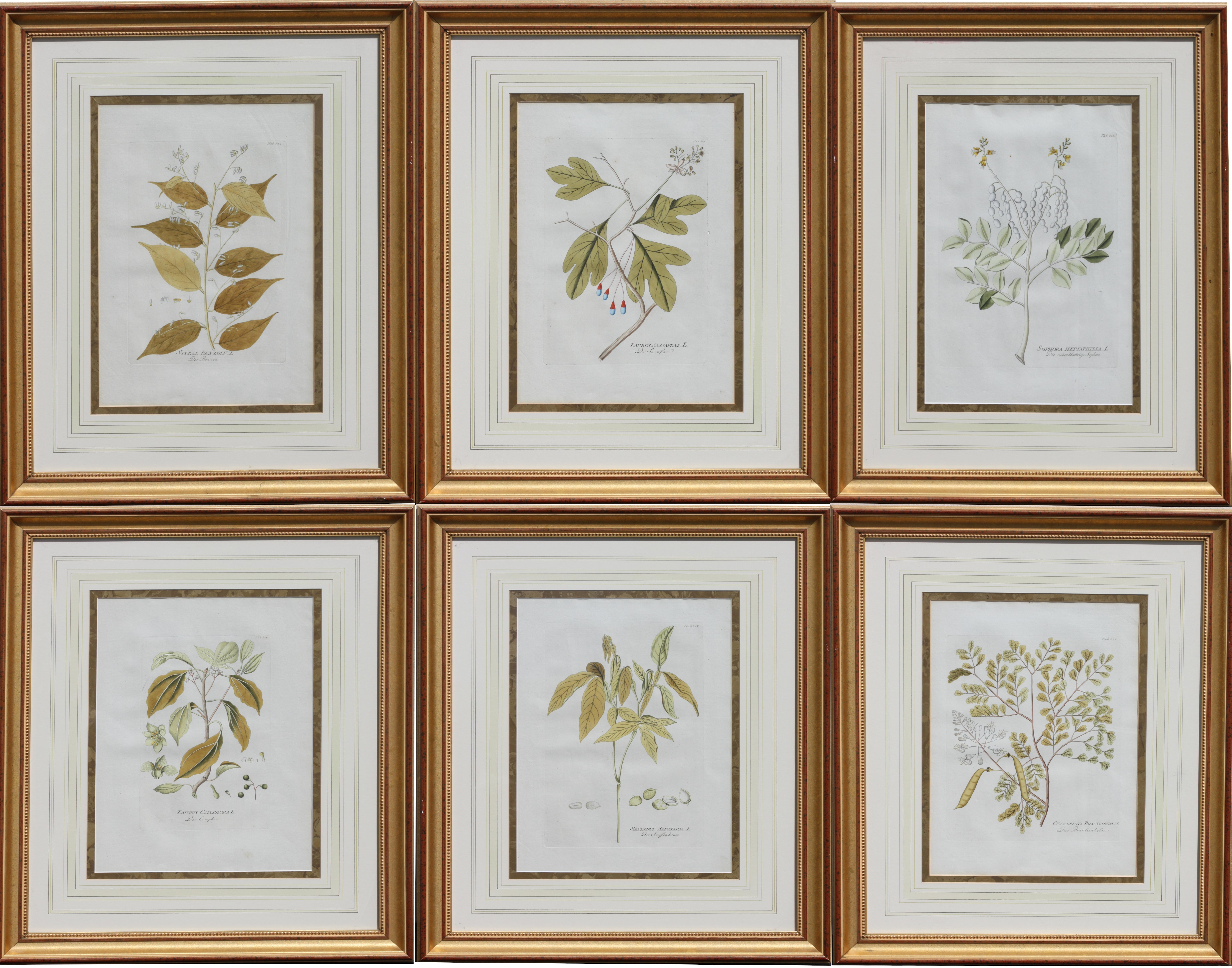 Set of Six Austrian Hand Colored Engravings Circa 1790 Plenk For Sale 3