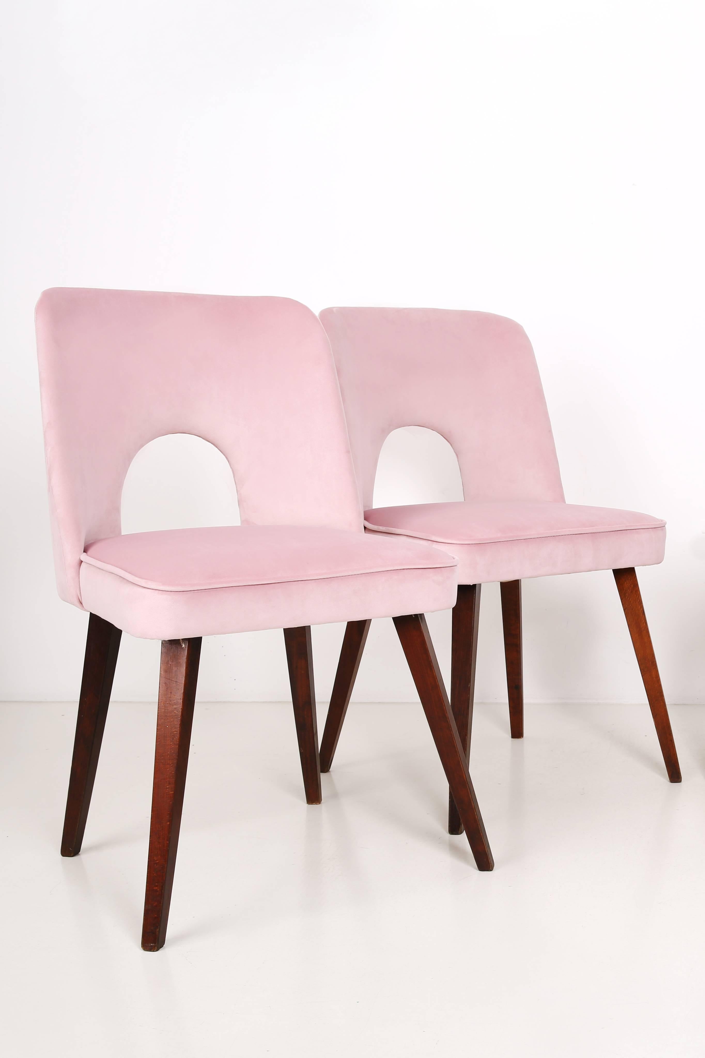 Ensemble de six chaises rose pâle « Shell », années 1960 Excellent état - En vente à 05-080 Hornowek, PL