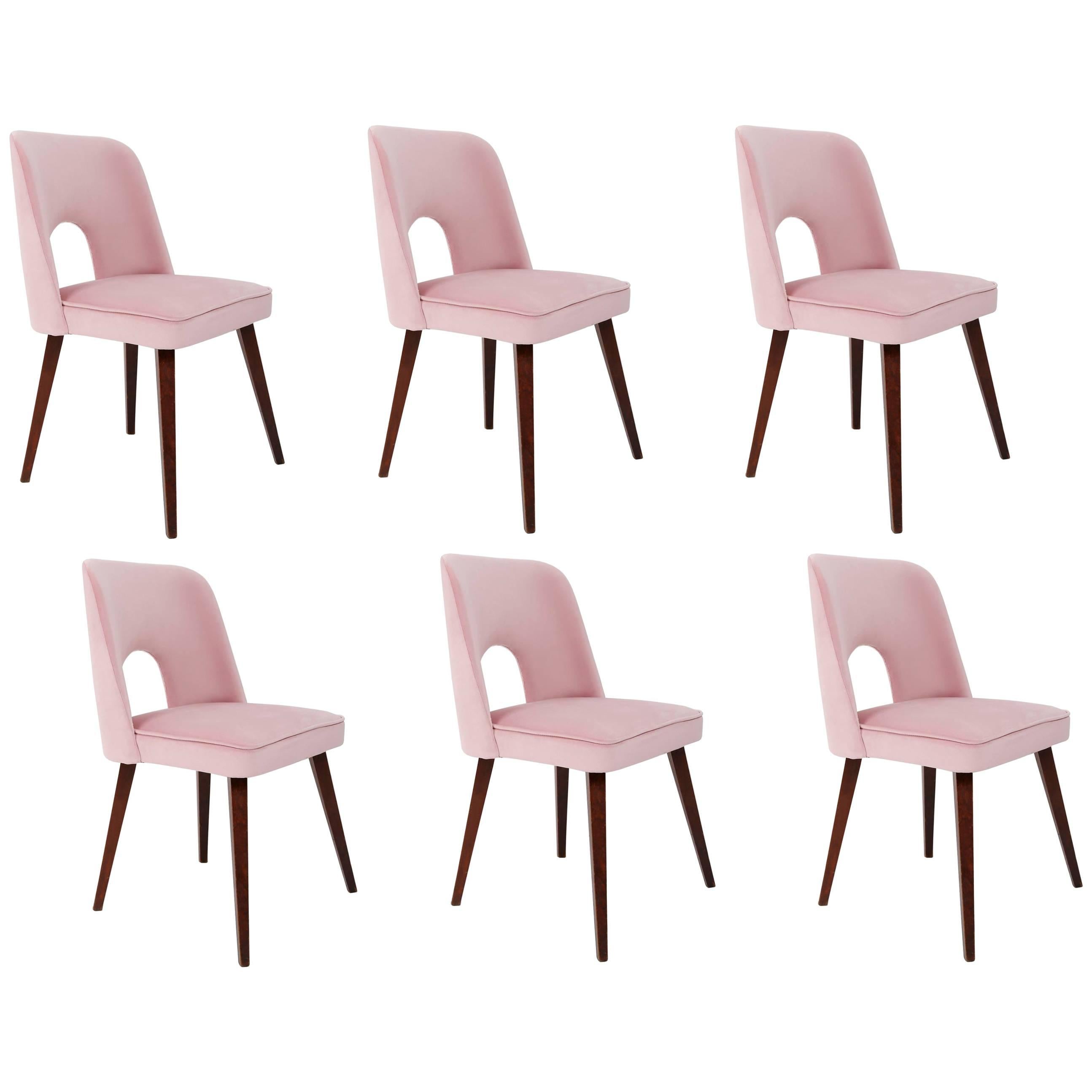 Ensemble de six chaises rose pâle « Shell », années 1960
