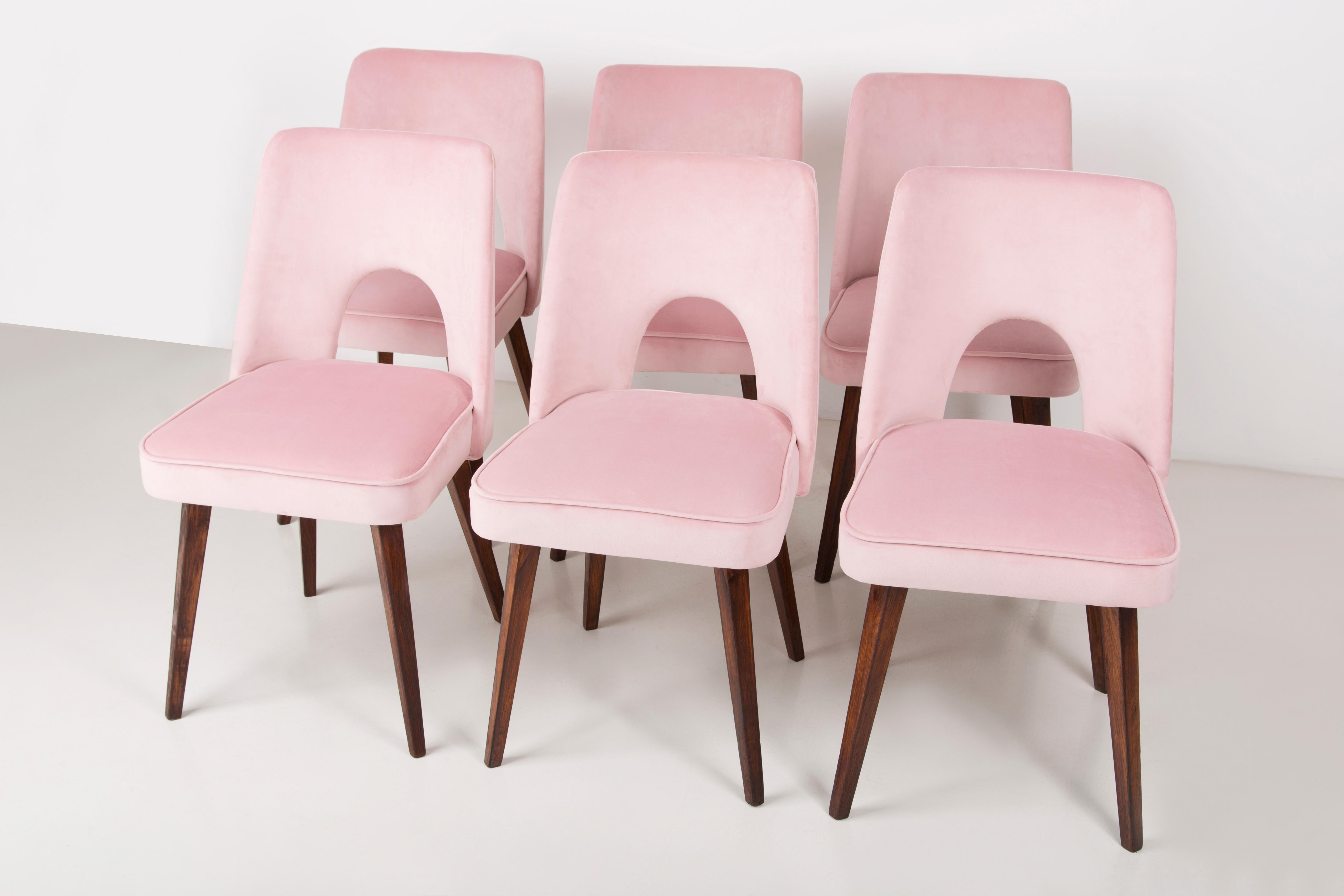 Polish Set of Six Baby Pink Velvet 'Shell' Chairs, 1960s For Sale