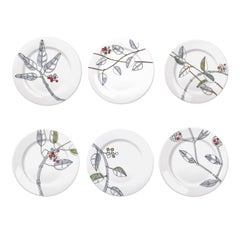 Set of Six Bacche Dinner Plates