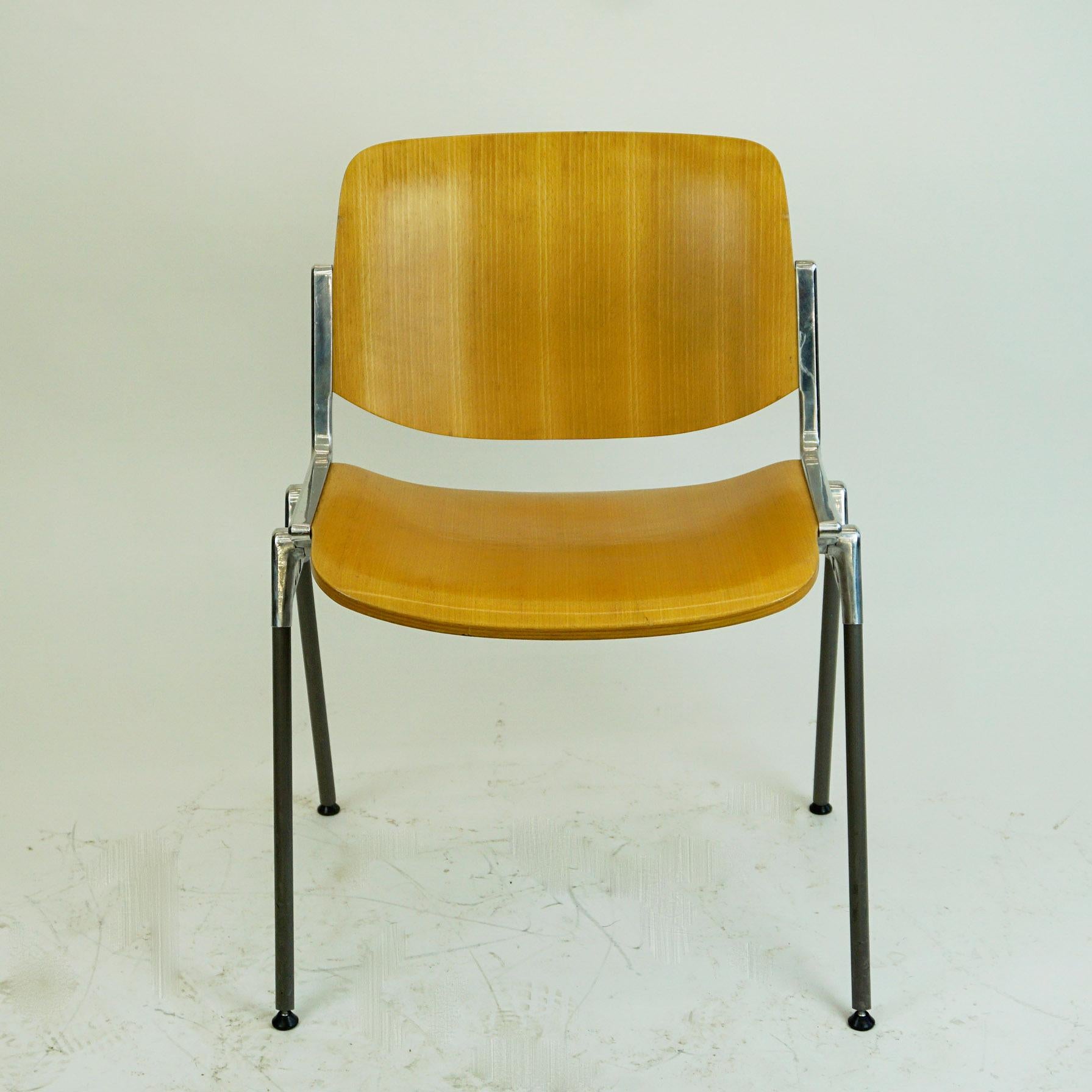 Set of Six Beechwood Castelli DSC 106 Stacking Chairs by Giancarlo Piretti 3