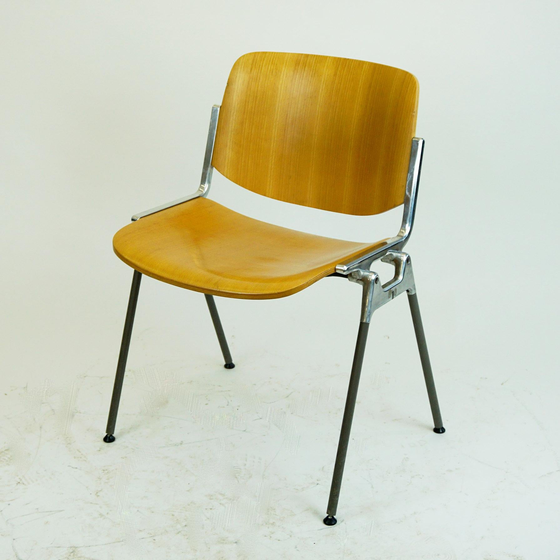 Set of Six Beechwood Castelli DSC 106 Stacking Chairs by Giancarlo Piretti 4