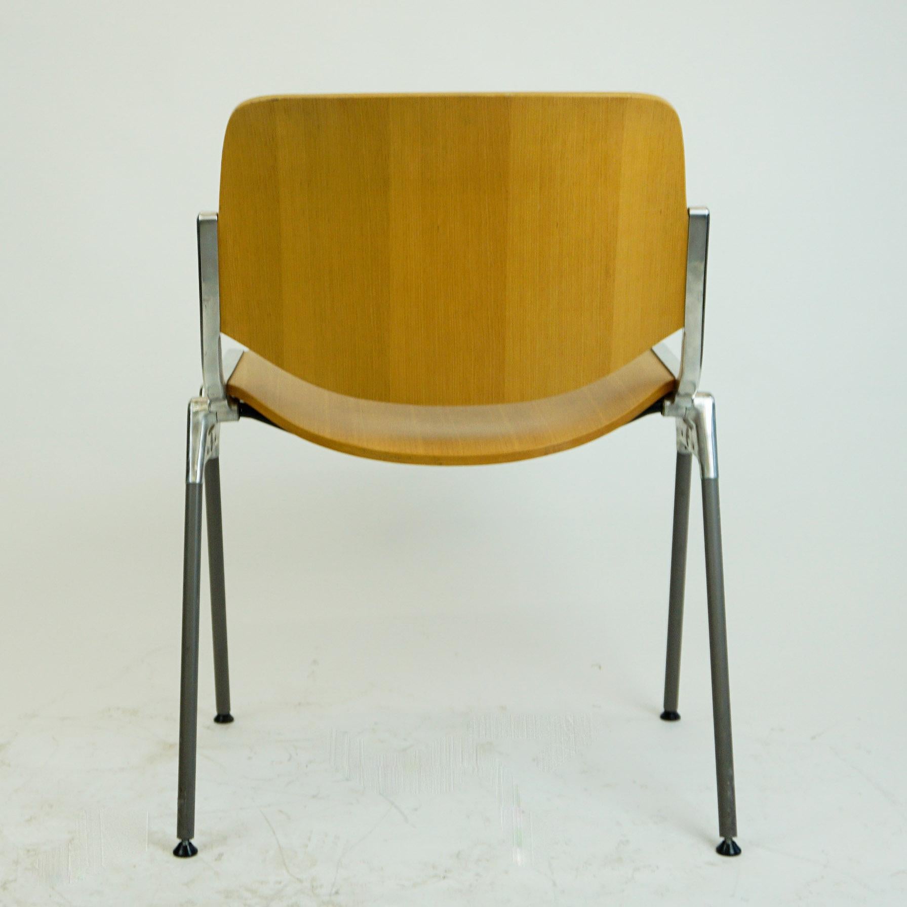Set of Six Beechwood Castelli DSC 106 Stacking Chairs by Giancarlo Piretti 6