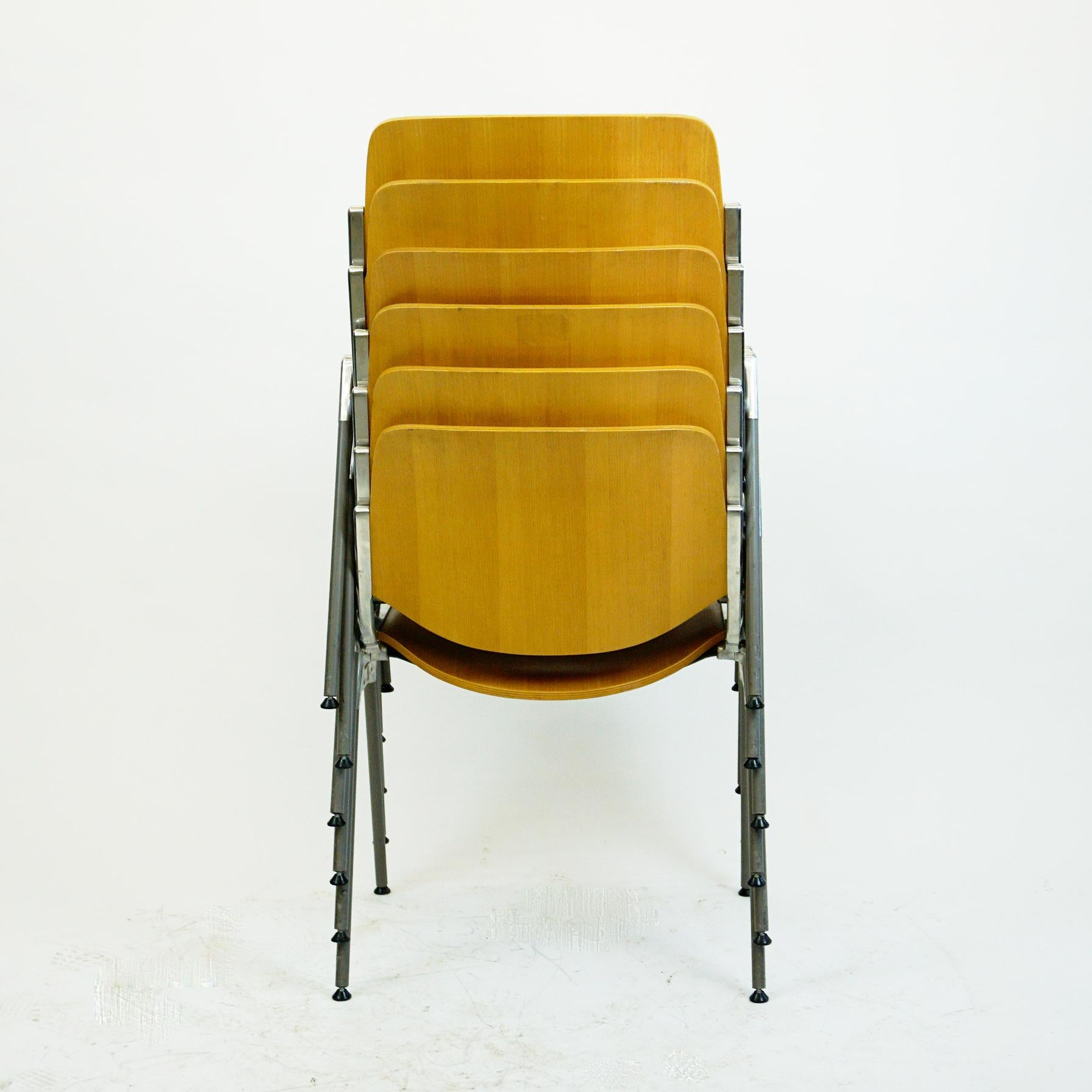 Set of Six Beechwood Castelli DSC 106 Stacking Chairs by Giancarlo Piretti 2