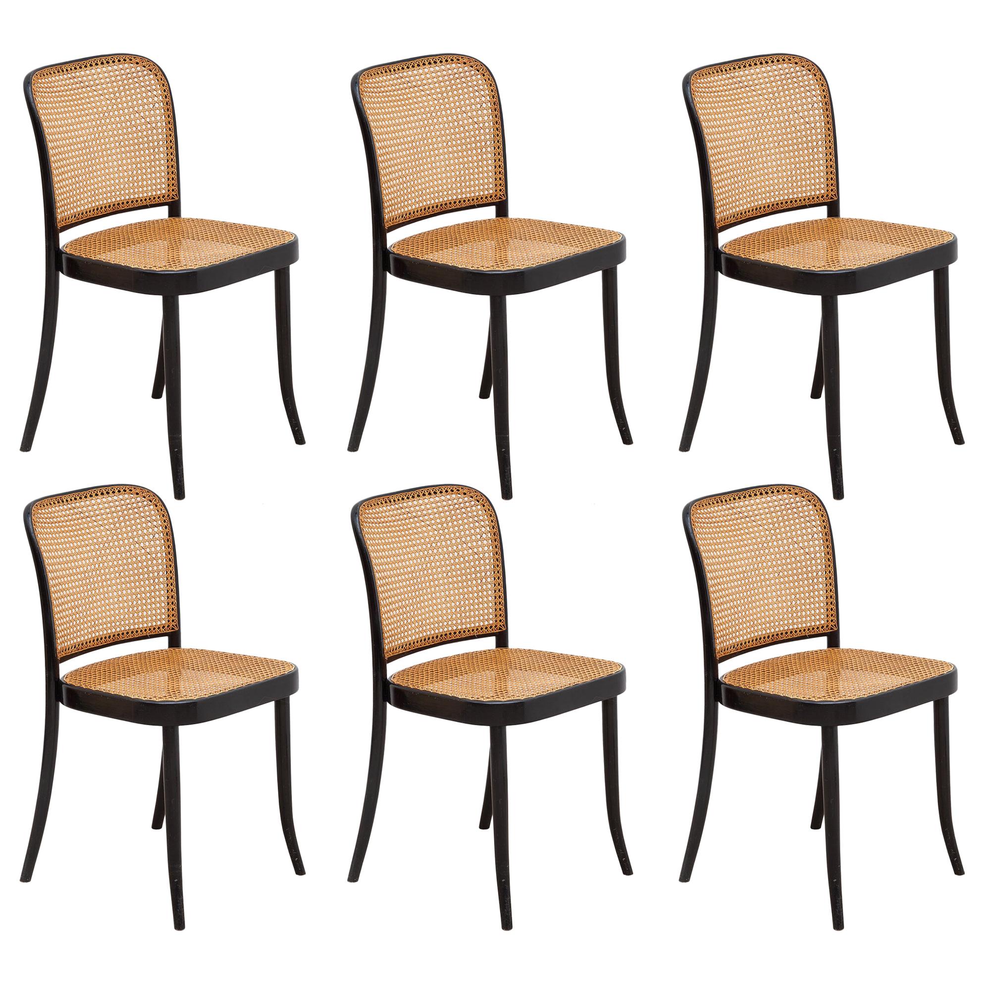 Set of Six Bentwood Cane Dining Chairs Designed by Josef Hoffman for Thonet