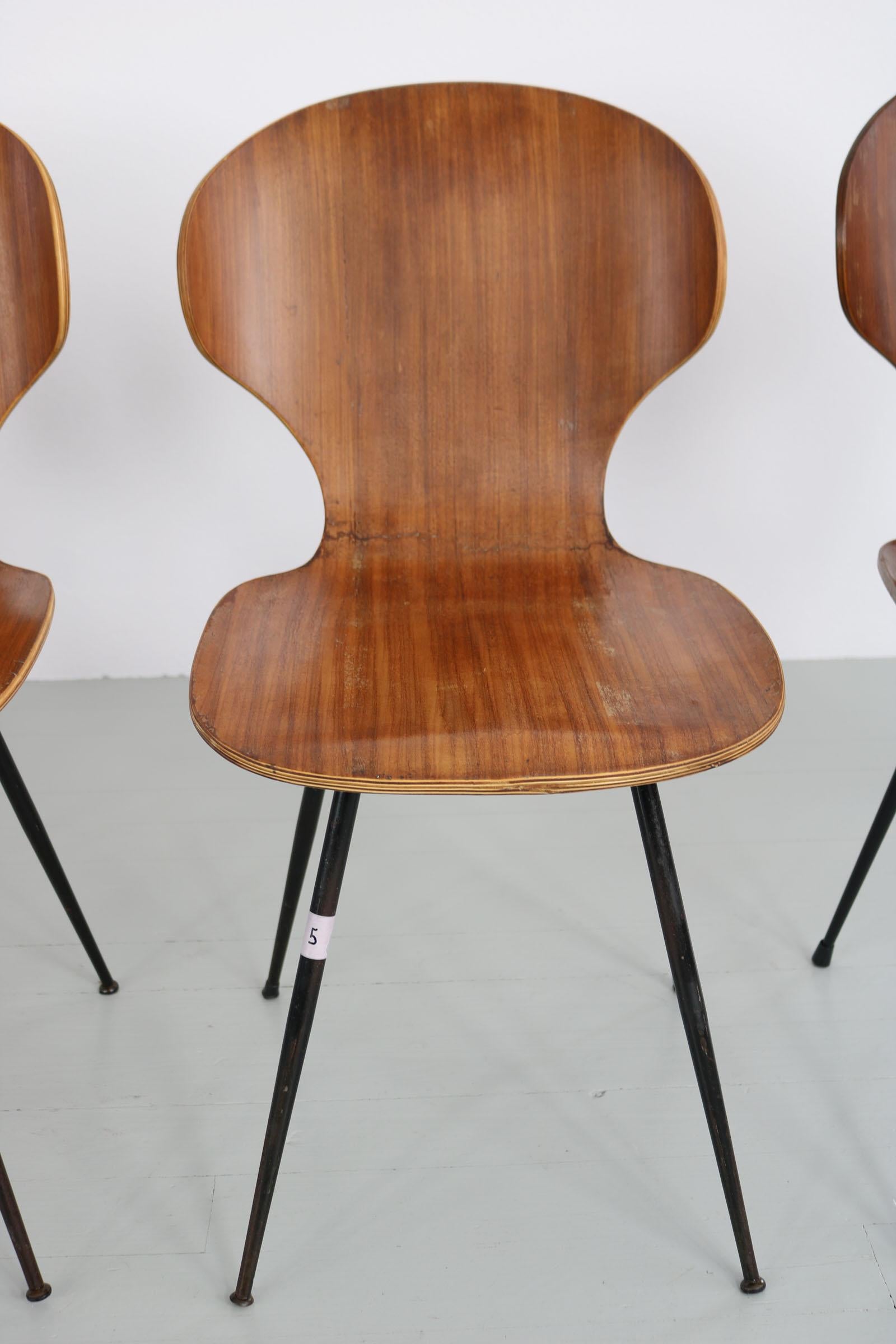 Set of Six Bentwood Chairs, Design by Carlo Ratti, Italy, 1950s 11