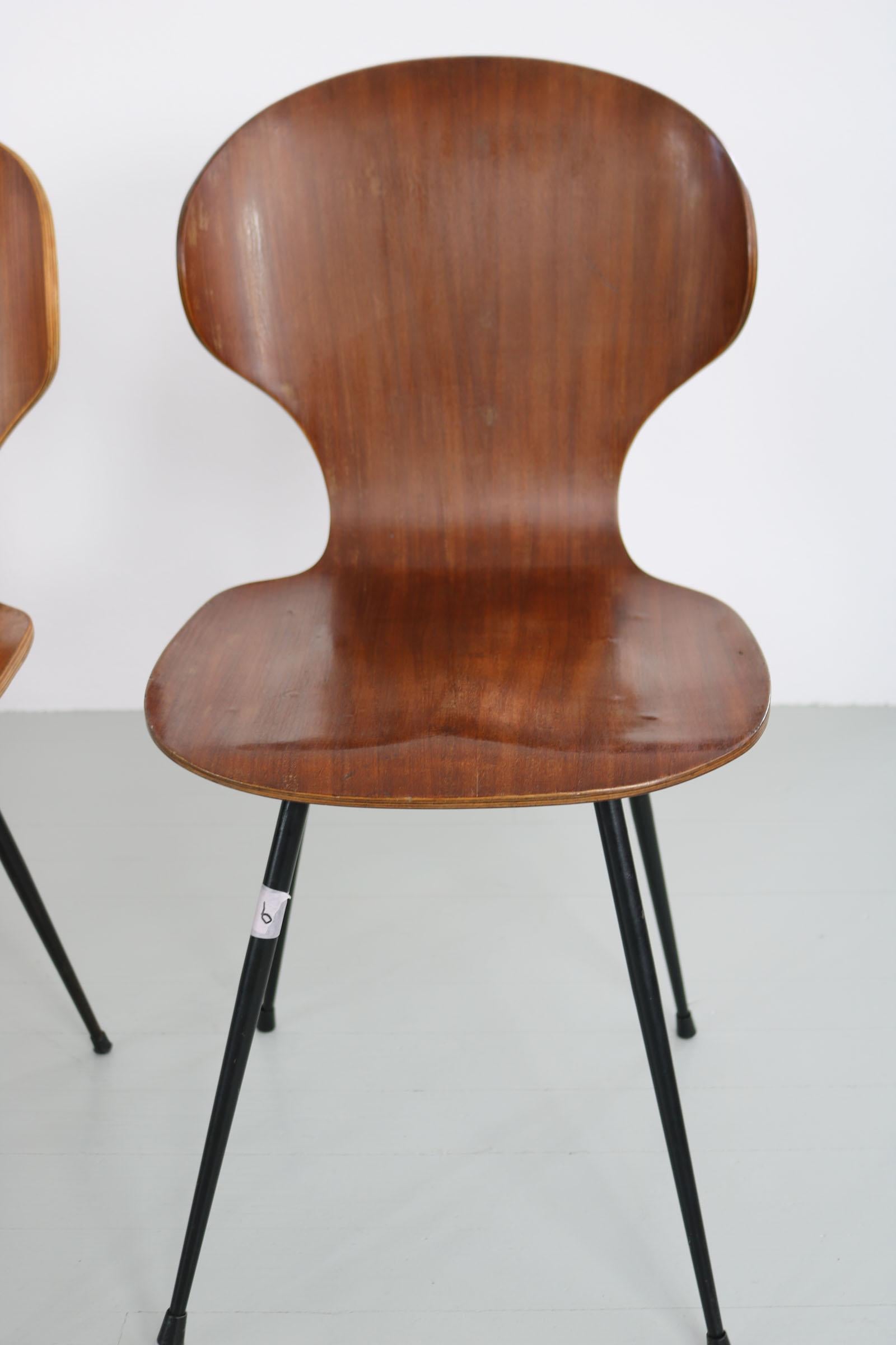 Set of Six Bentwood Chairs, Design by Carlo Ratti, Italy, 1950s 12