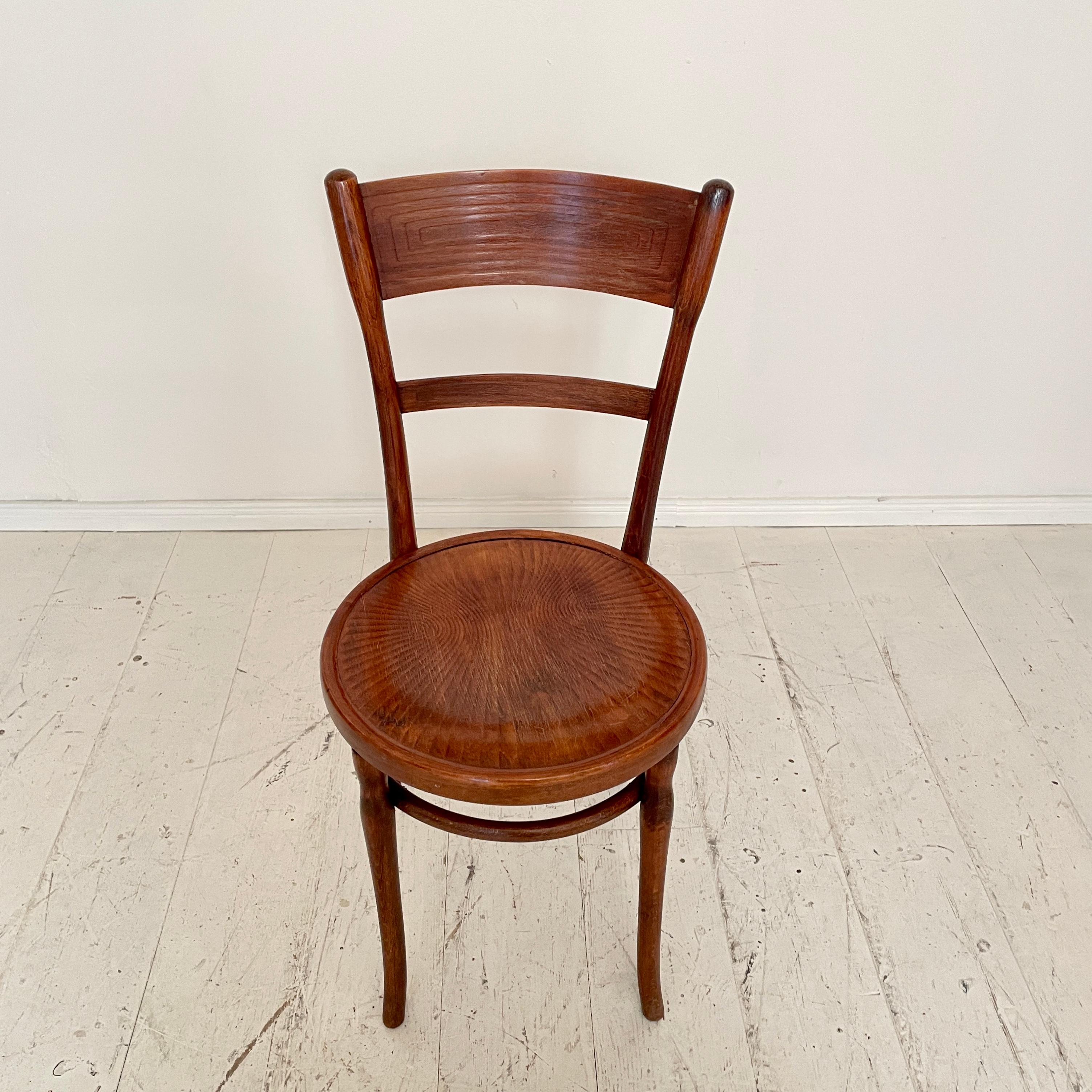 Set of Six Bentwood Dining Chairs, in Brown Beechwood, Jugendstil Around 1910 5