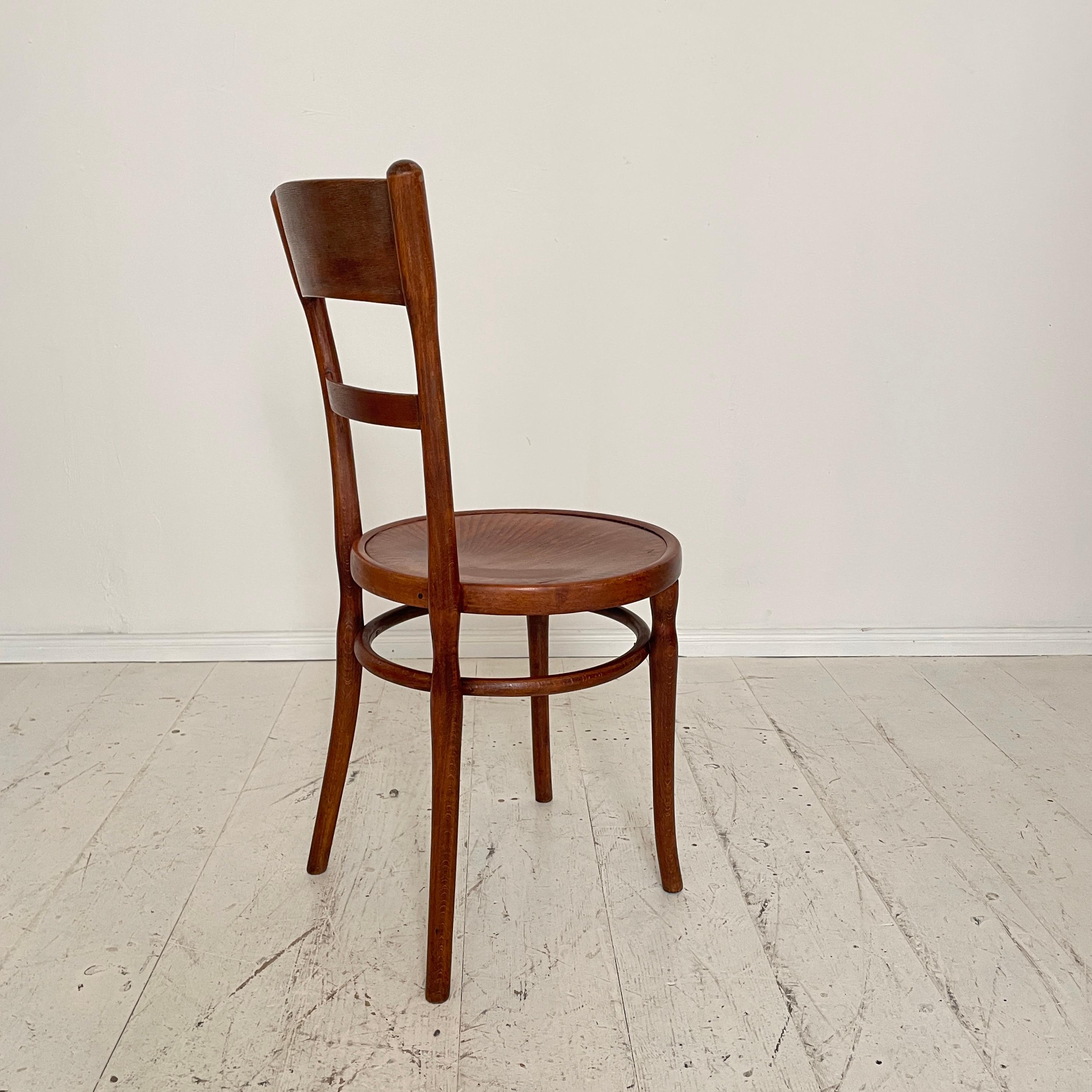 Set of Six Bentwood Dining Chairs, in Brown Beechwood, Jugendstil Around 1910 11