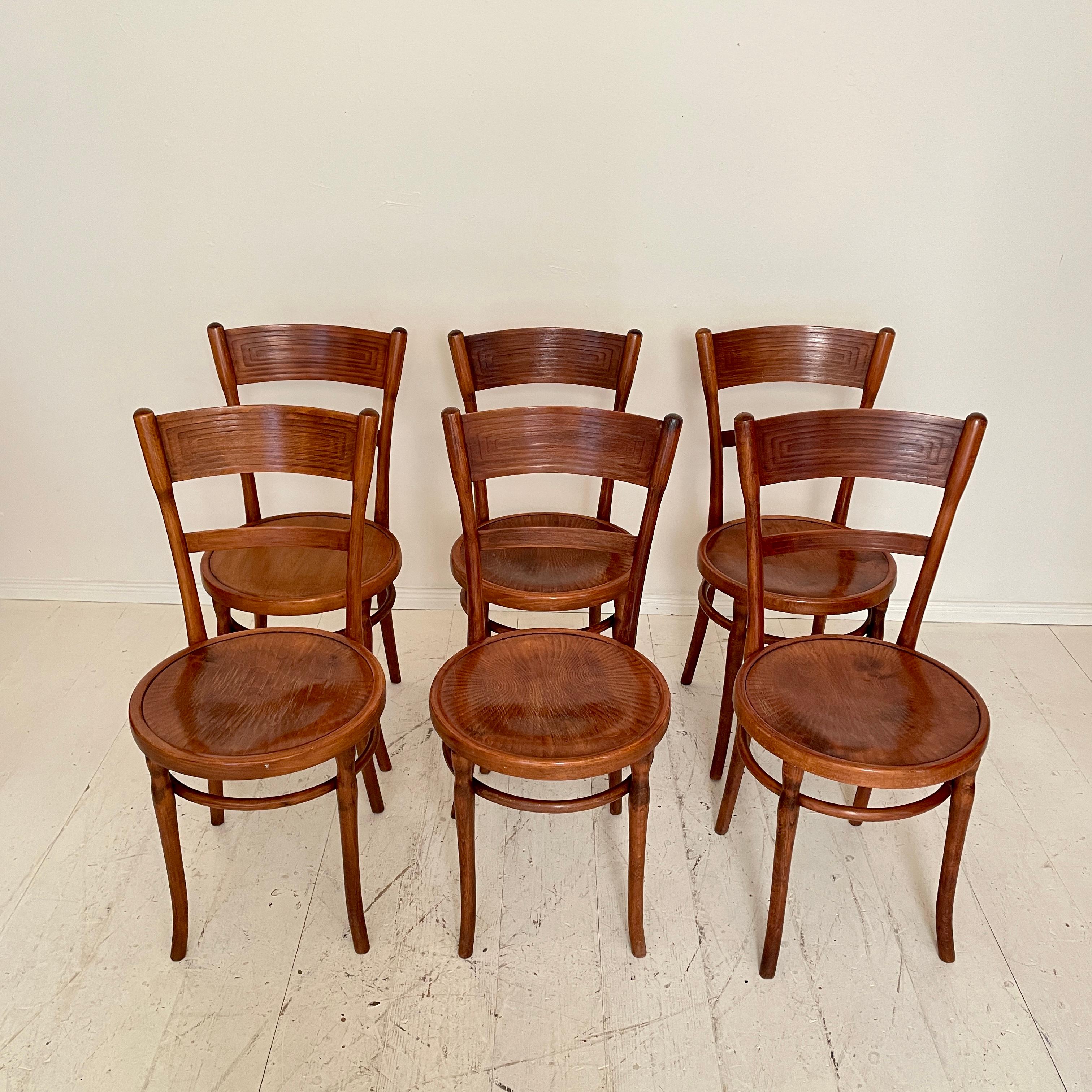 German Set of Six Bentwood Dining Chairs, in Brown Beechwood, Jugendstil Around 1910