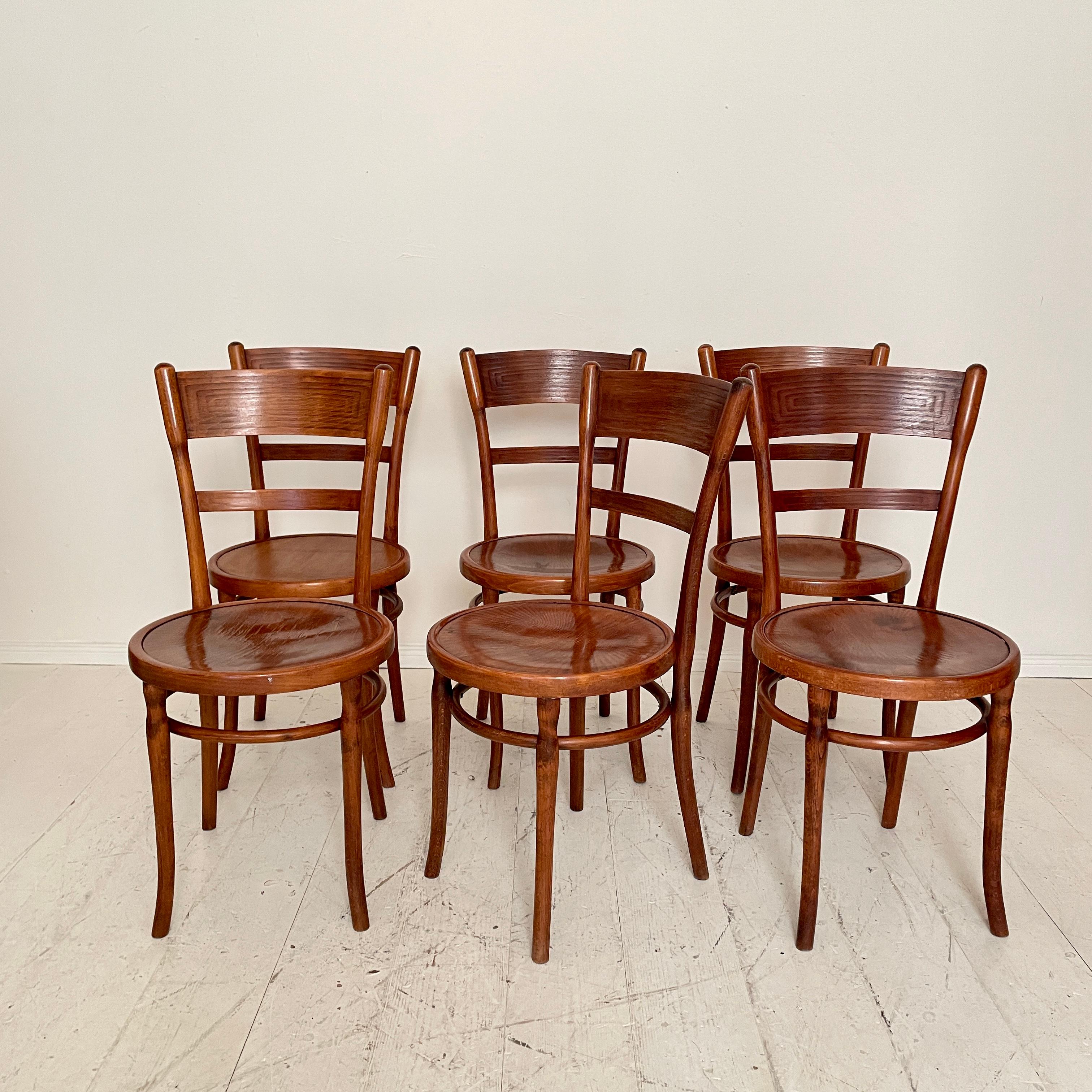 Set of Six Bentwood Dining Chairs, in Brown Beechwood, Jugendstil Around 1910 In Good Condition In Berlin, DE