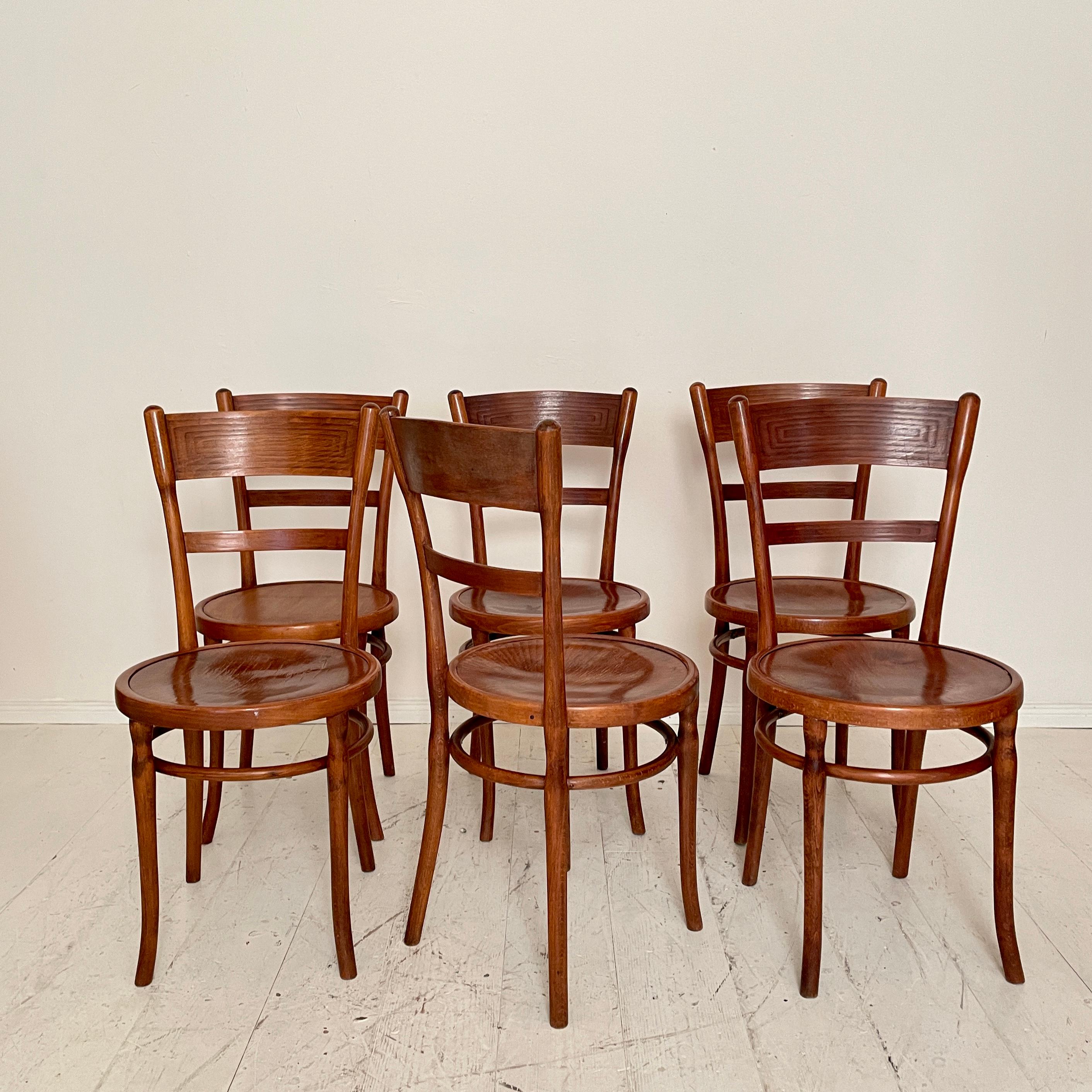 Early 20th Century Set of Six Bentwood Dining Chairs, in Brown Beechwood, Jugendstil Around 1910