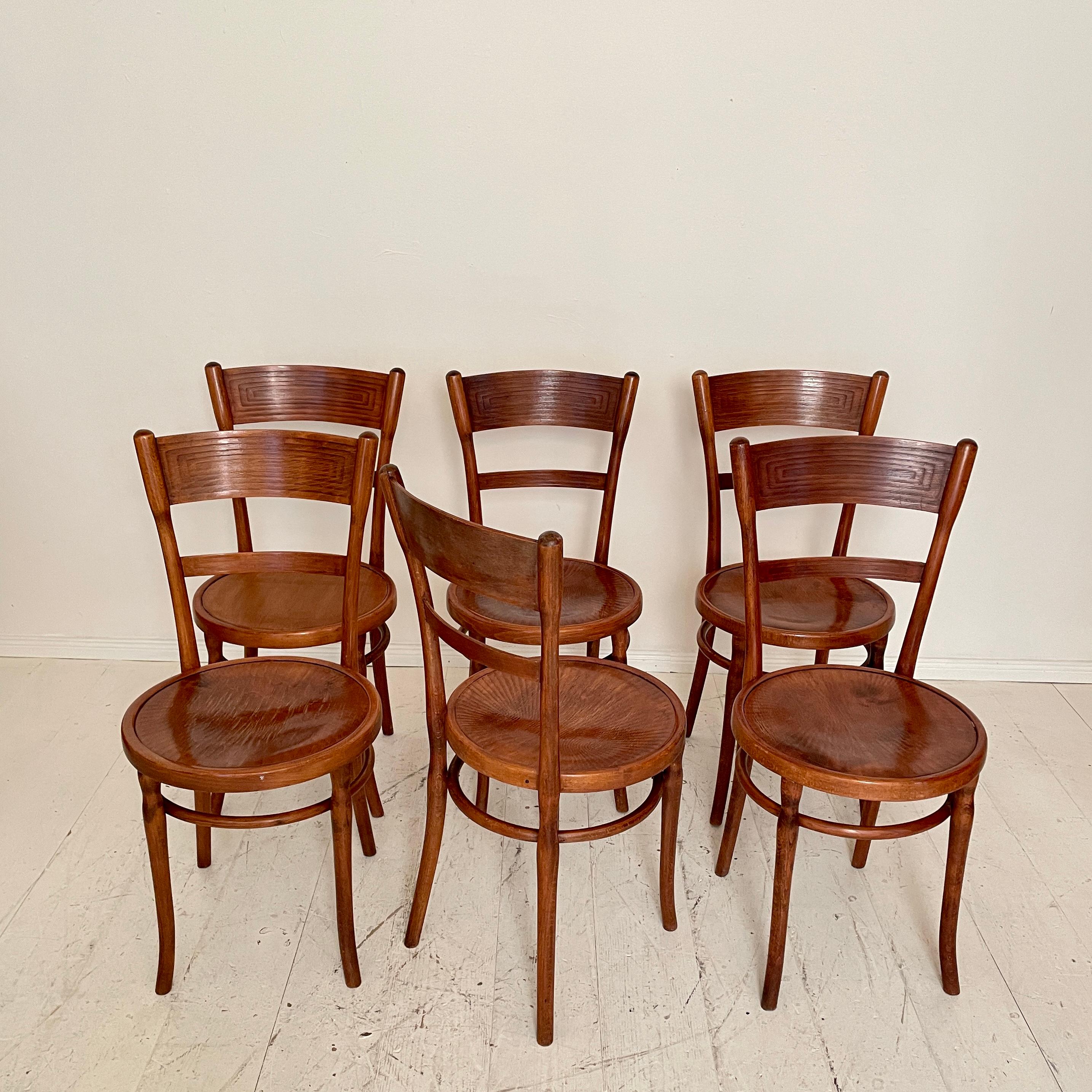 Set of Six Bentwood Dining Chairs, in Brown Beechwood, Jugendstil Around 1910 1