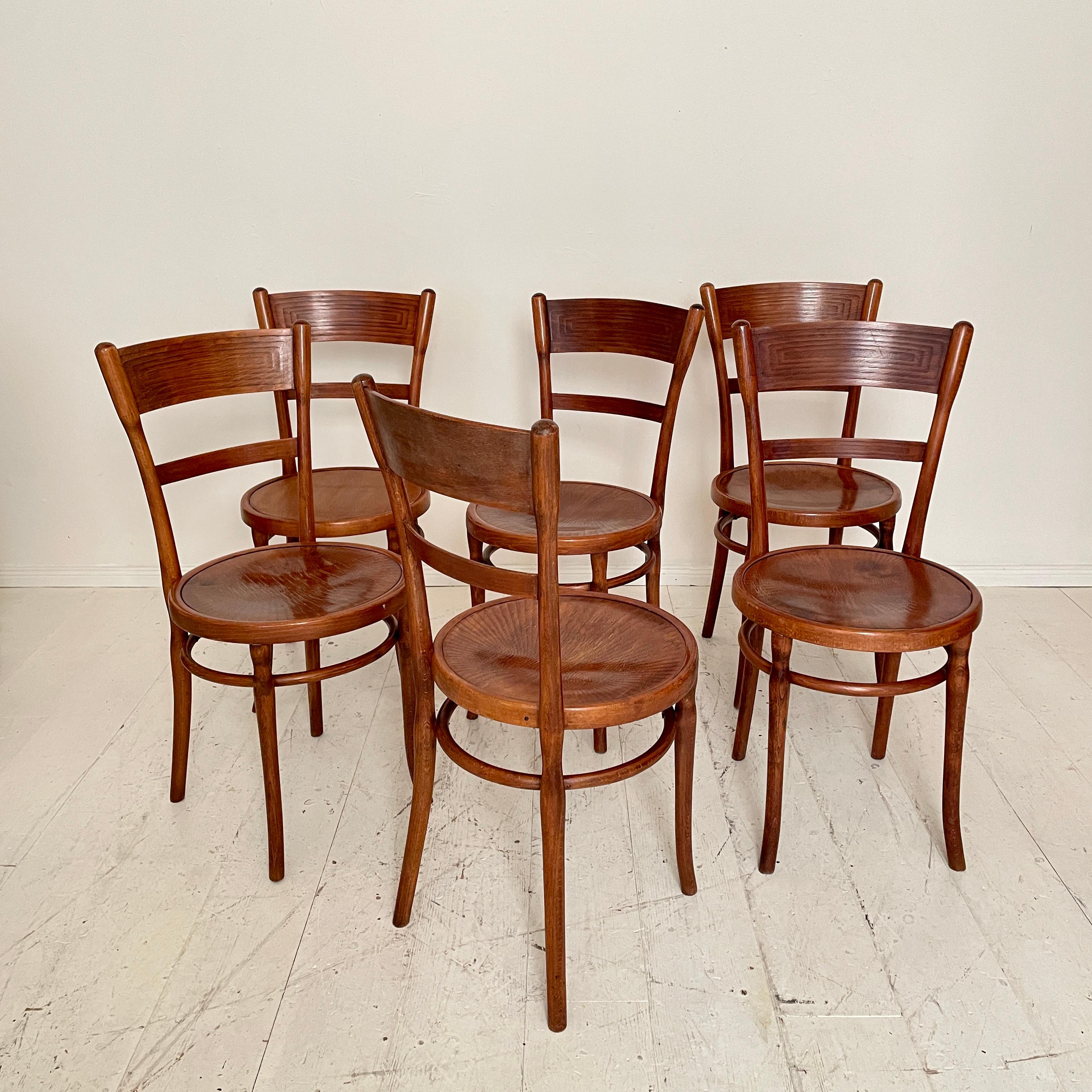 Set of Six Bentwood Dining Chairs, in Brown Beechwood, Jugendstil Around 1910 2