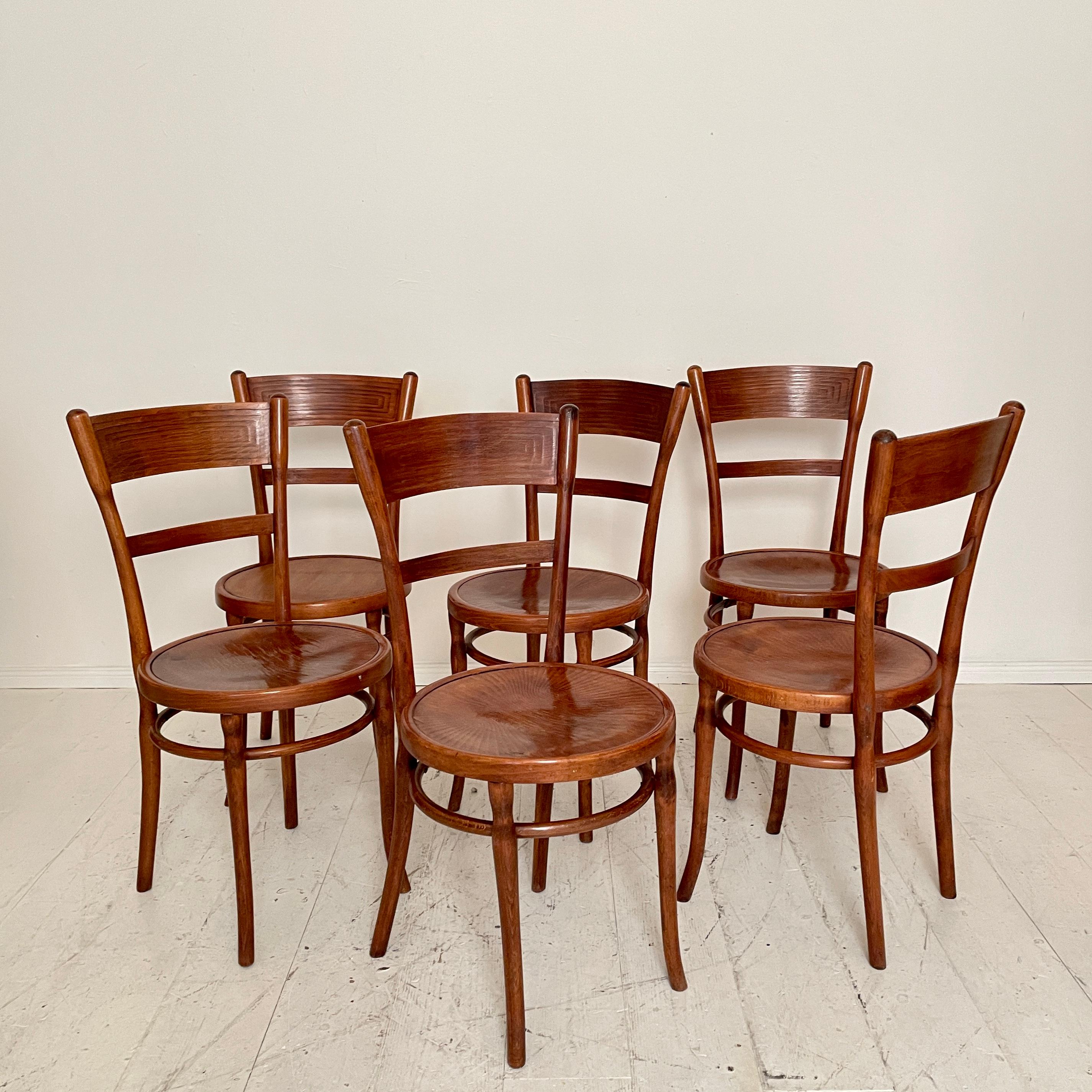 Set of Six Bentwood Dining Chairs, in Brown Beechwood, Jugendstil Around 1910 3