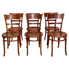 Set of Six Bentwood Dining Chairs, in Brown Beechwood, Jugendstil Around 1910