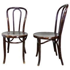Ensemble de six chaises à manger en bois de Bentwood en finition ancienne:: vers 1930