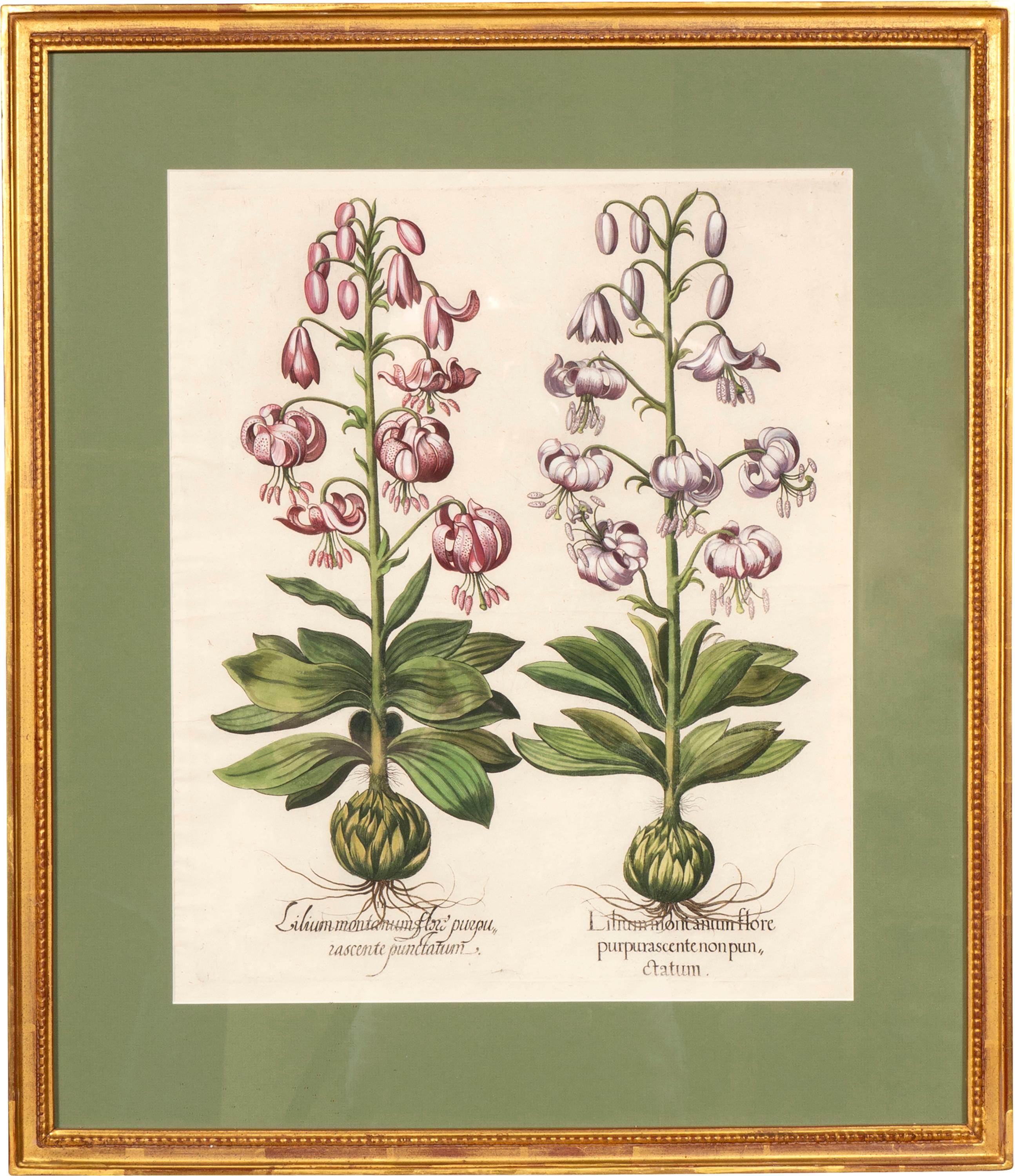 Set of Six Besler Framed Botanicals For Sale 5