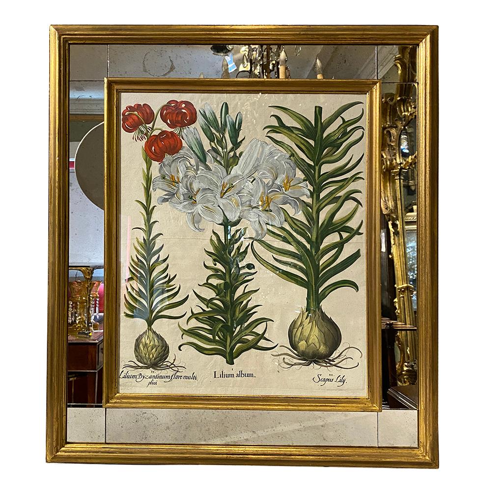 Set of Six Besler Hand Colored Botanicals in Mirrored Frames 4