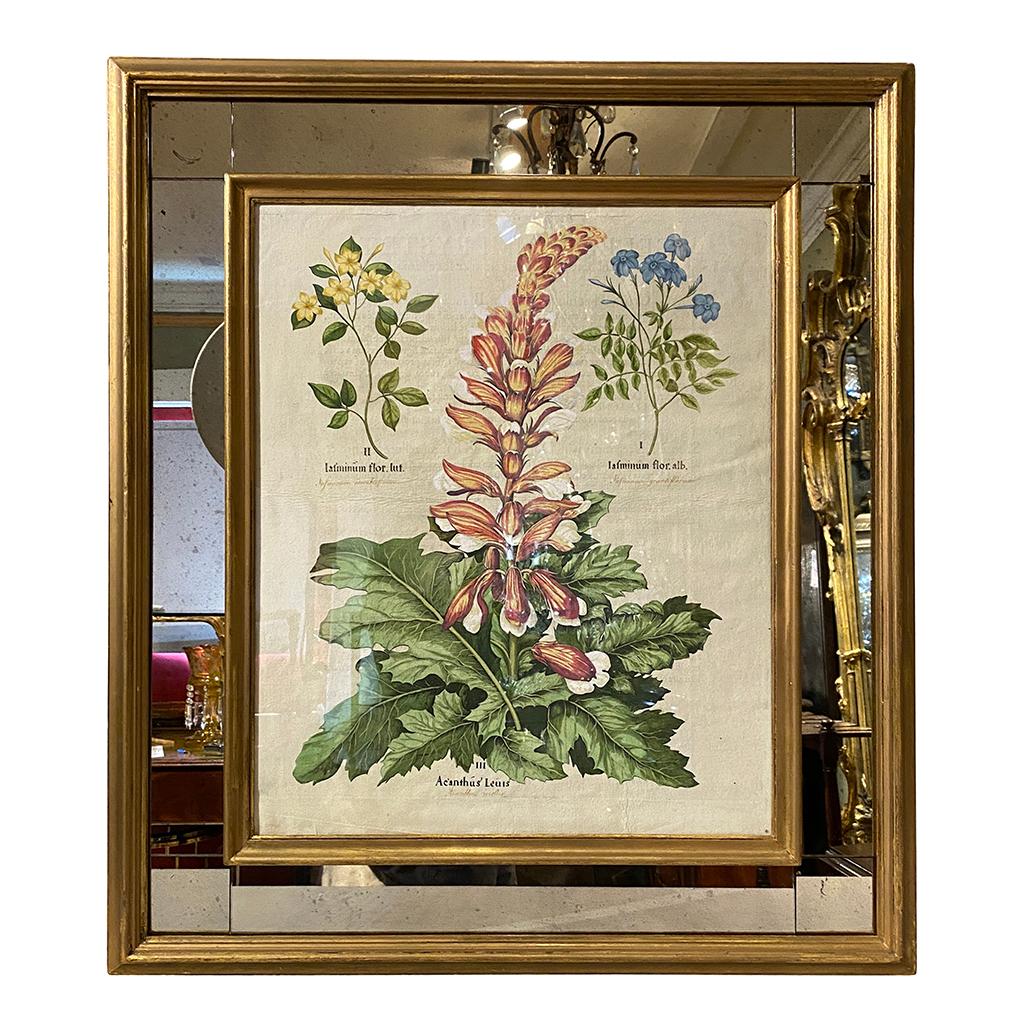 17th Century Set of Six Besler Hand Colored Botanicals in Mirrored Frames