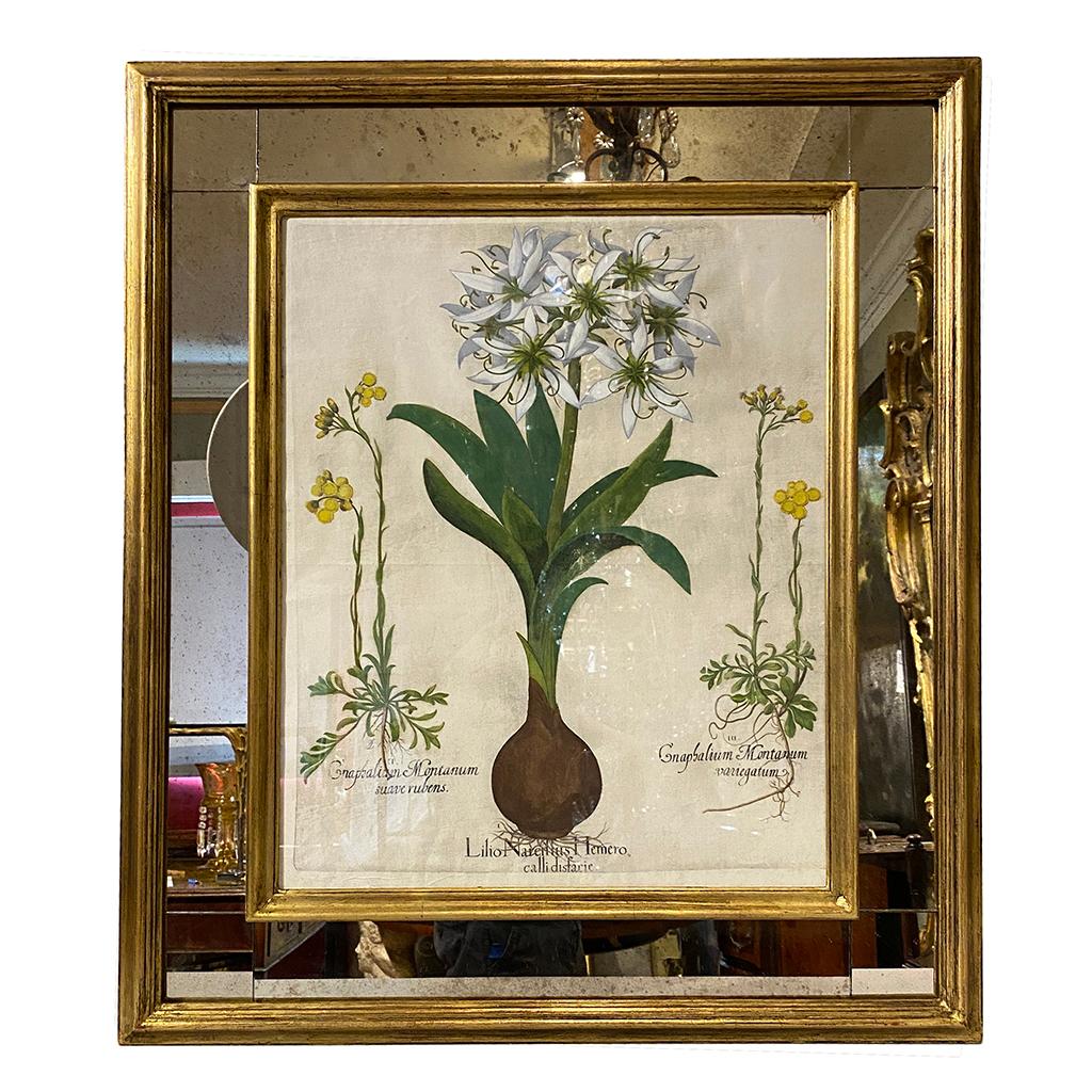 Set of Six Besler Hand Colored Botanicals in Mirrored Frames 2