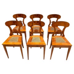 Set of Six Biedermeier Board Chairs, Cherry Wood and Mesh, Vienna, circa 1830